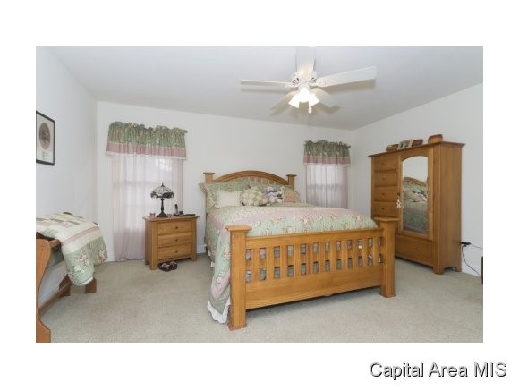 514 Bristol Court Rochester, IL 62563 - Photo 13 of 15