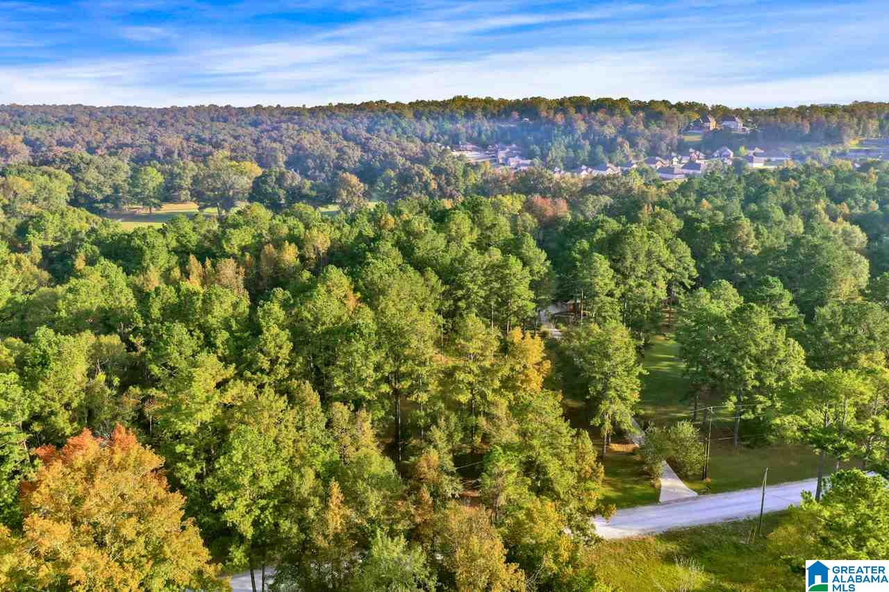 195 Buttercup Lane Montevallo, AL 35115 - Photo 11 of 50