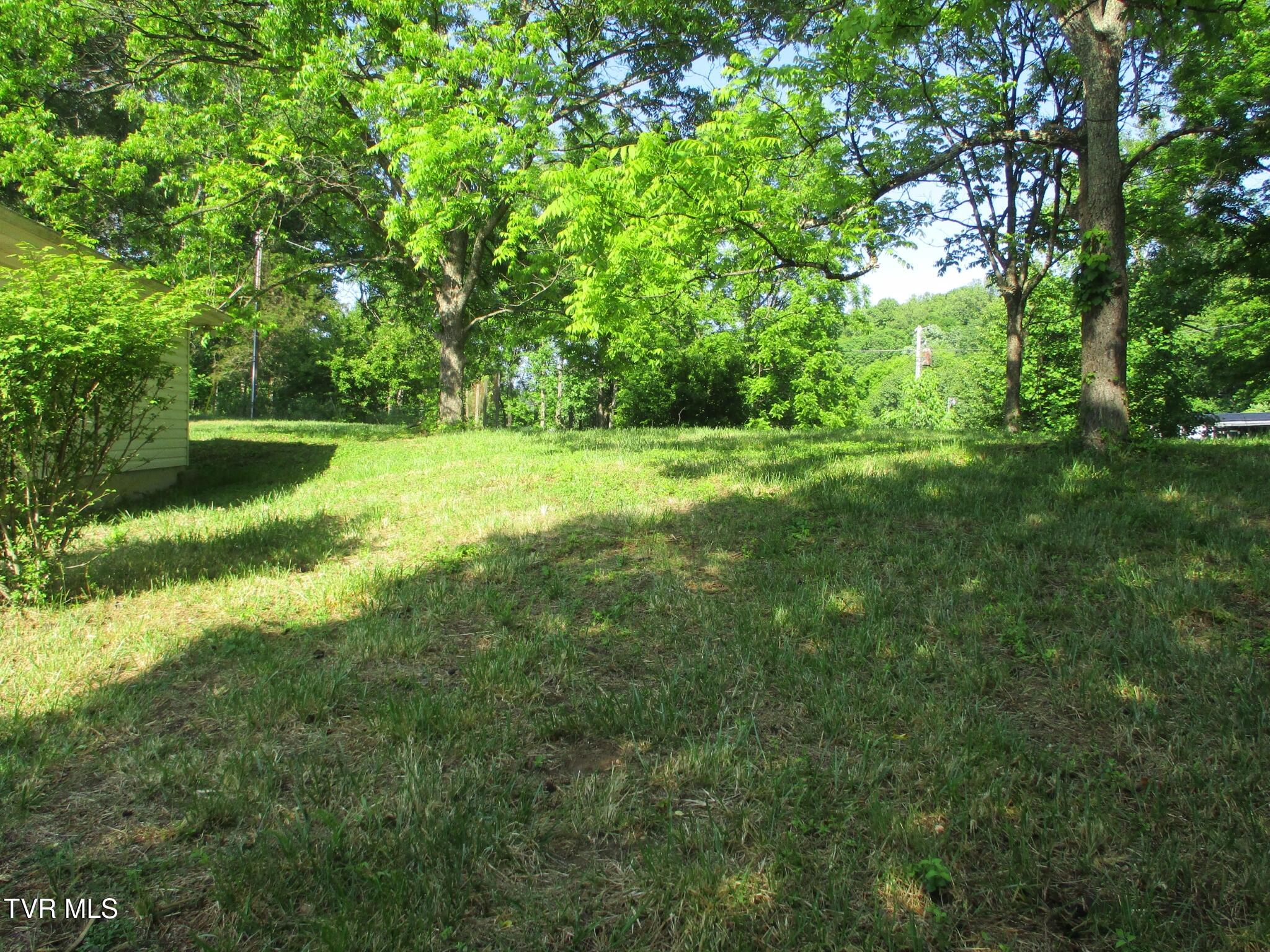 270 Forrest Road Fall Branch, TN 37656 - Photo 22 of 25 22 IMG_9482