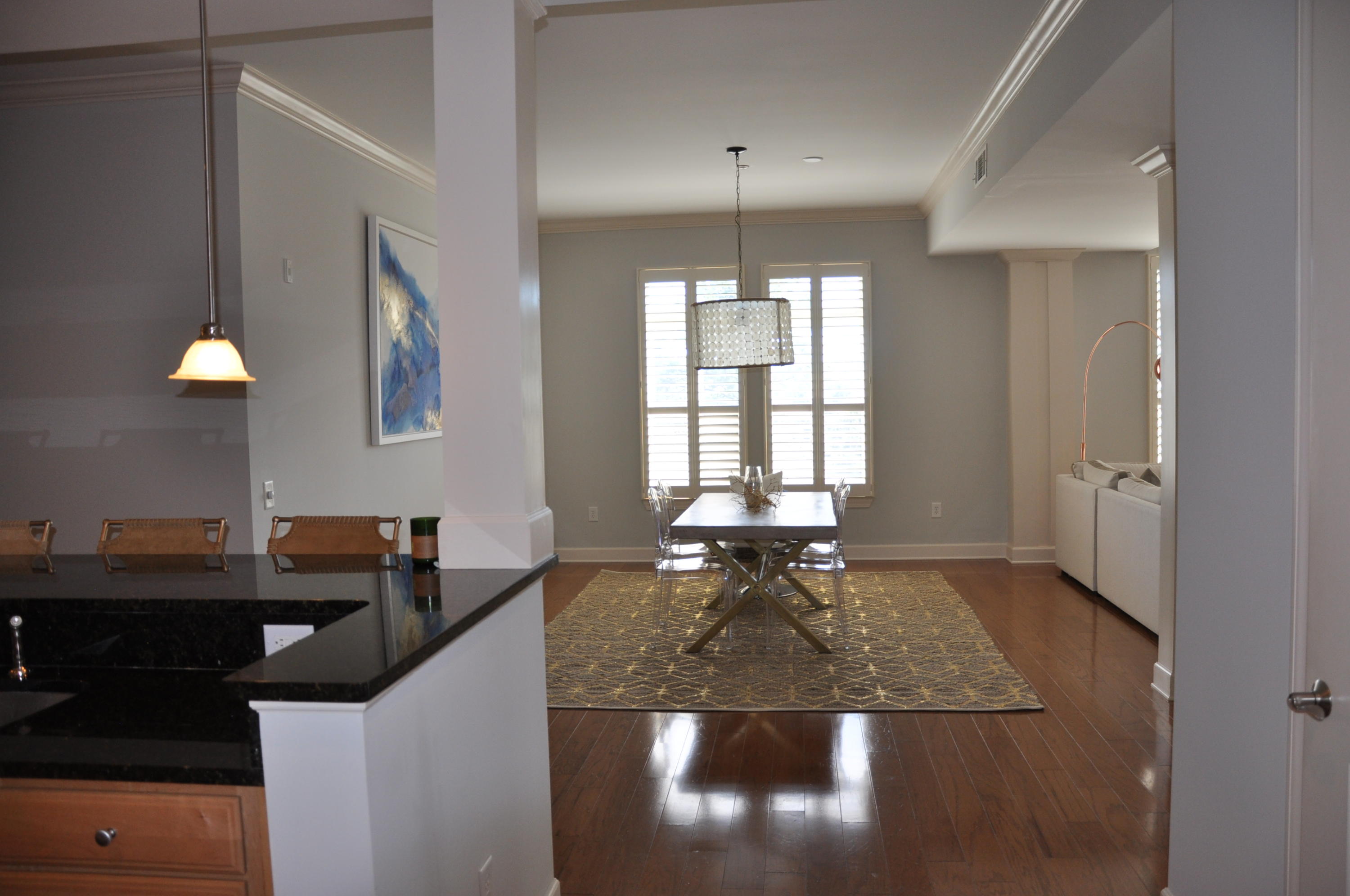 135 Pier View Street, Unit 202 Charleston, SC 29492 - Photo 3 of 27 DSC_0582