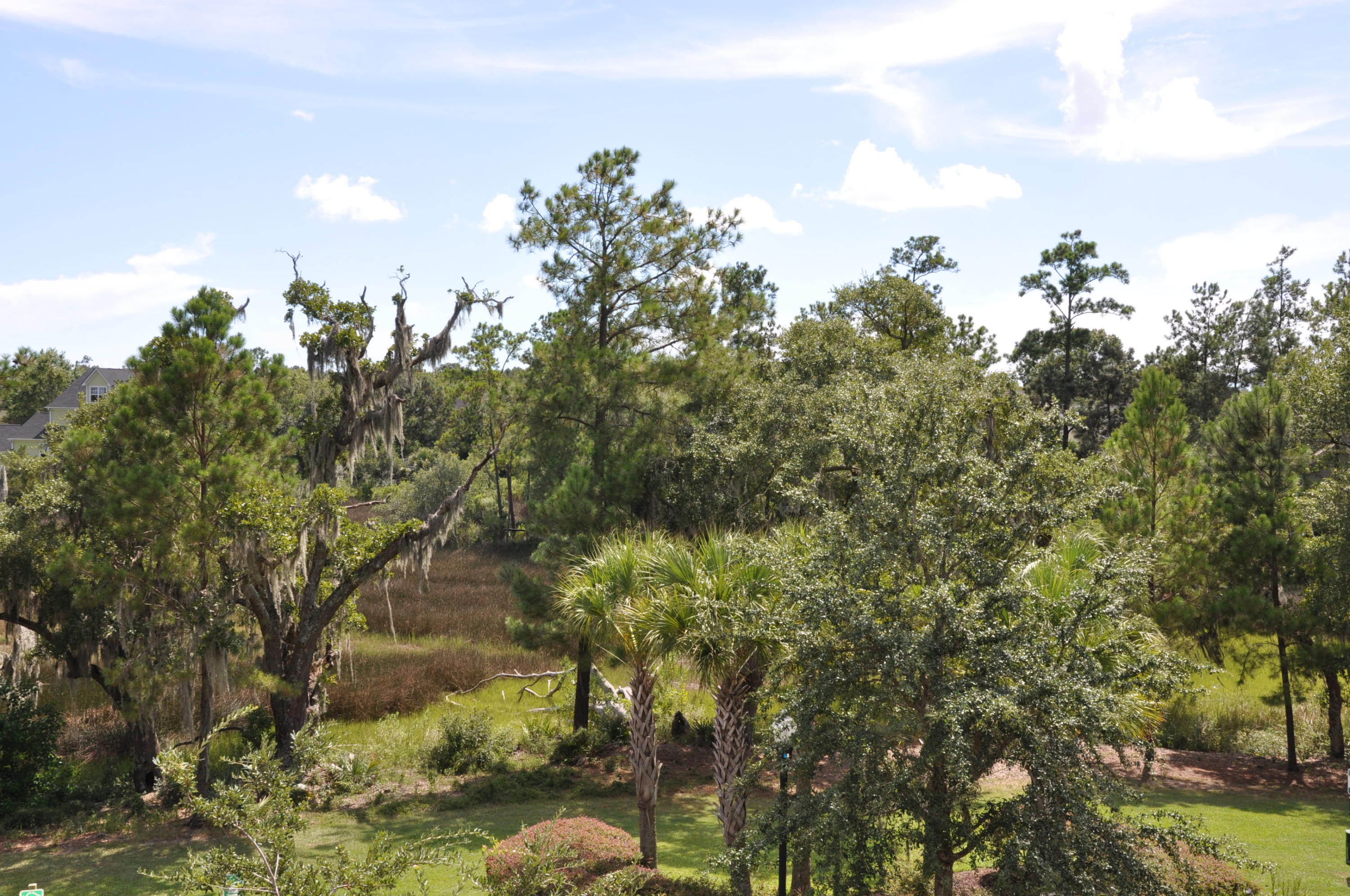 135 Pier View Street, Unit 202 Charleston, SC 29492 - Photo 26 of 27 DSC_0601