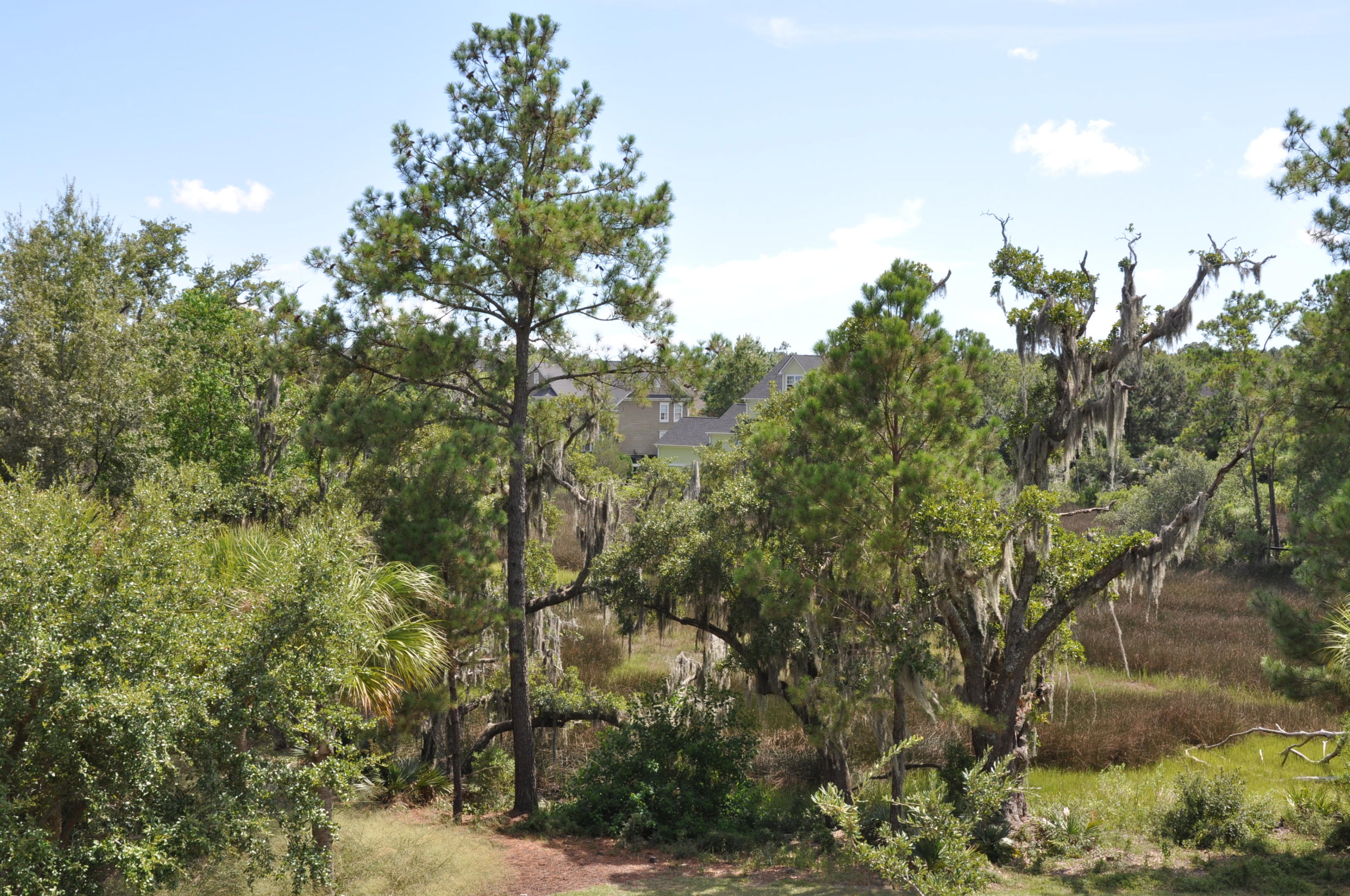 135 Pier View Street, Unit 202 Charleston, SC 29492 - Photo 27 of 27 DSC_0602