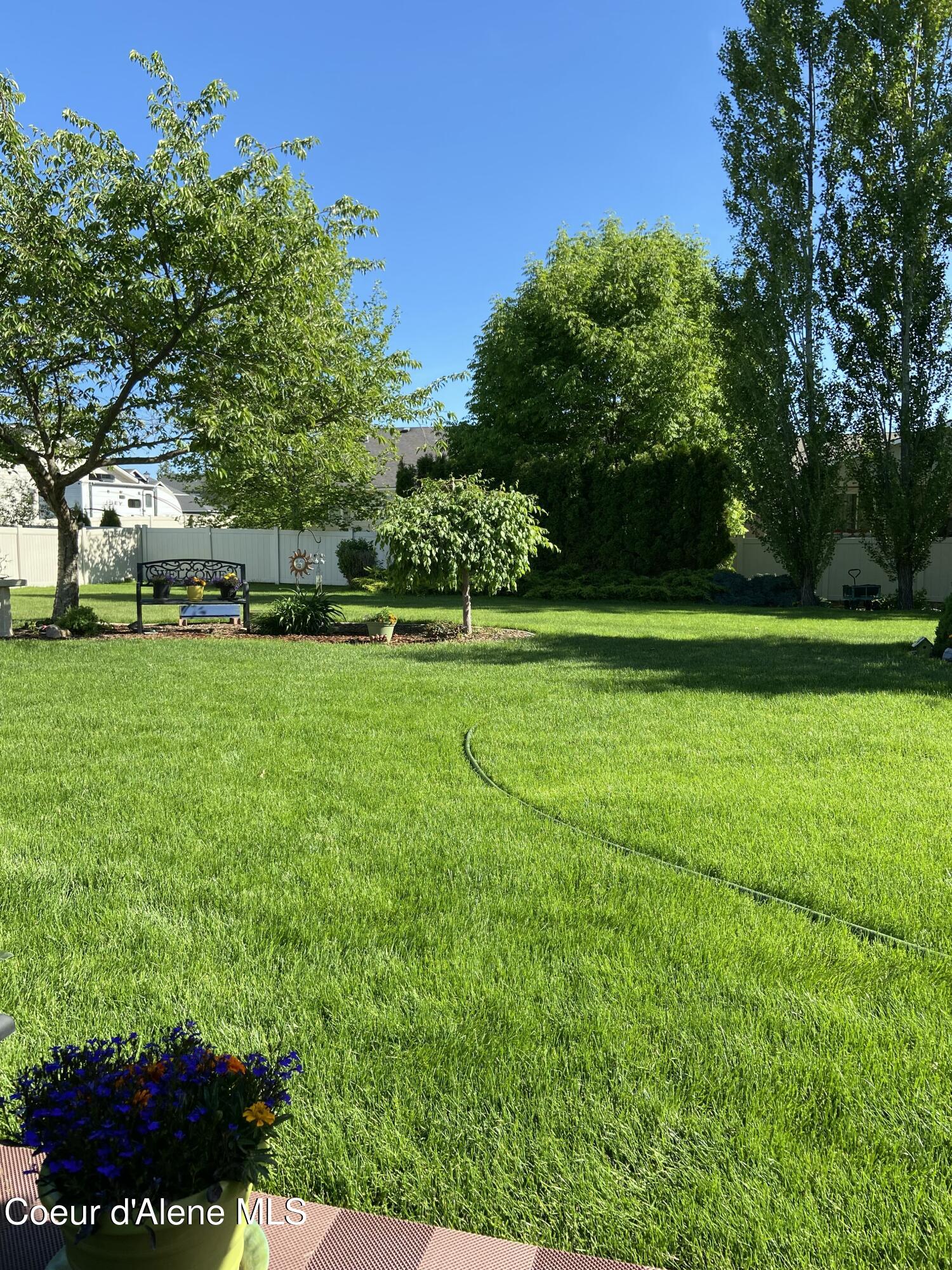 6494 Buffalo Grass Lane Rathdrum, ID 83858 - Photo 24 of 26 Park-like yard