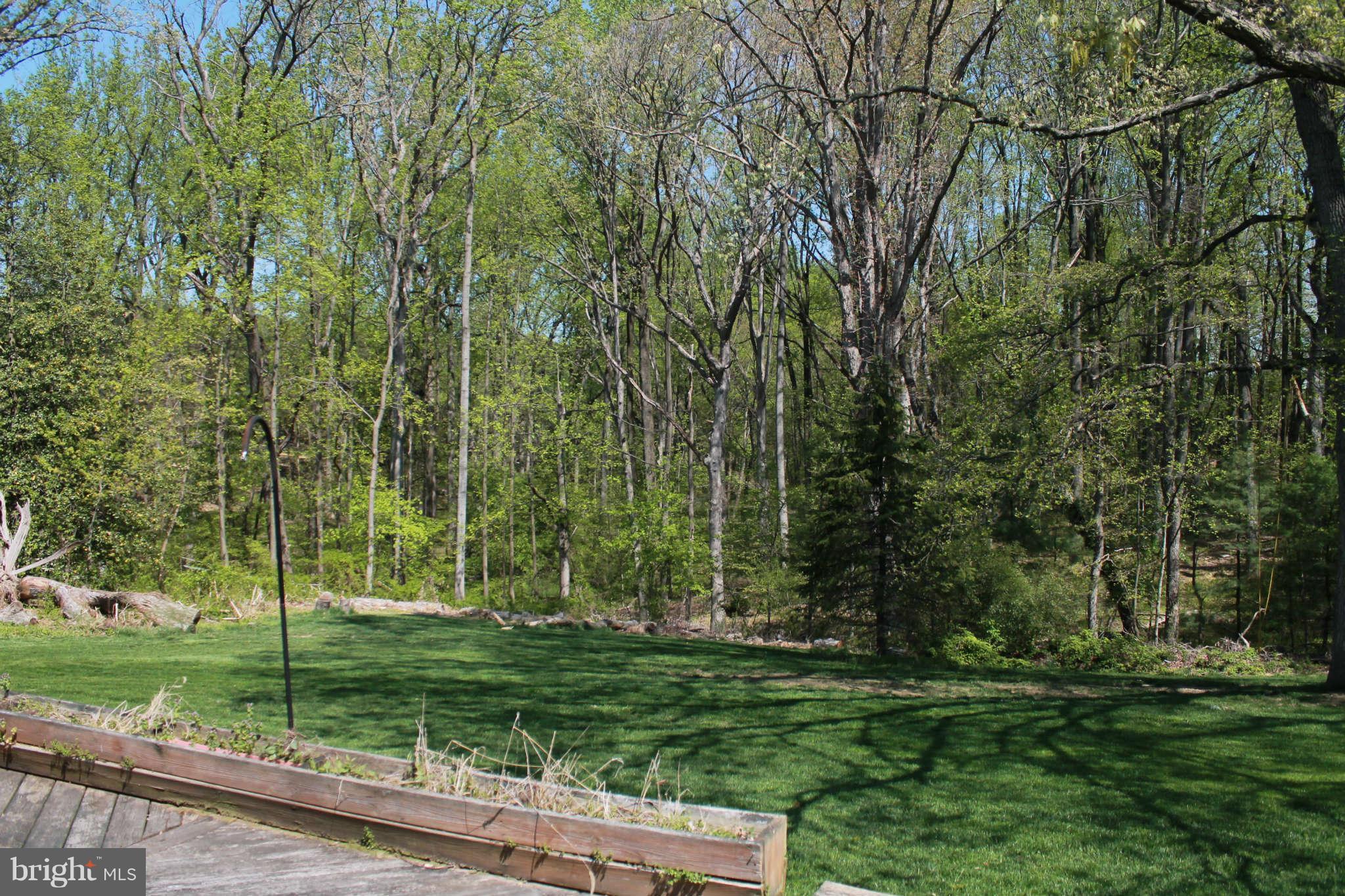 8495 Murphy Road Laurel, MD 20723 - Photo 4 of 18 View