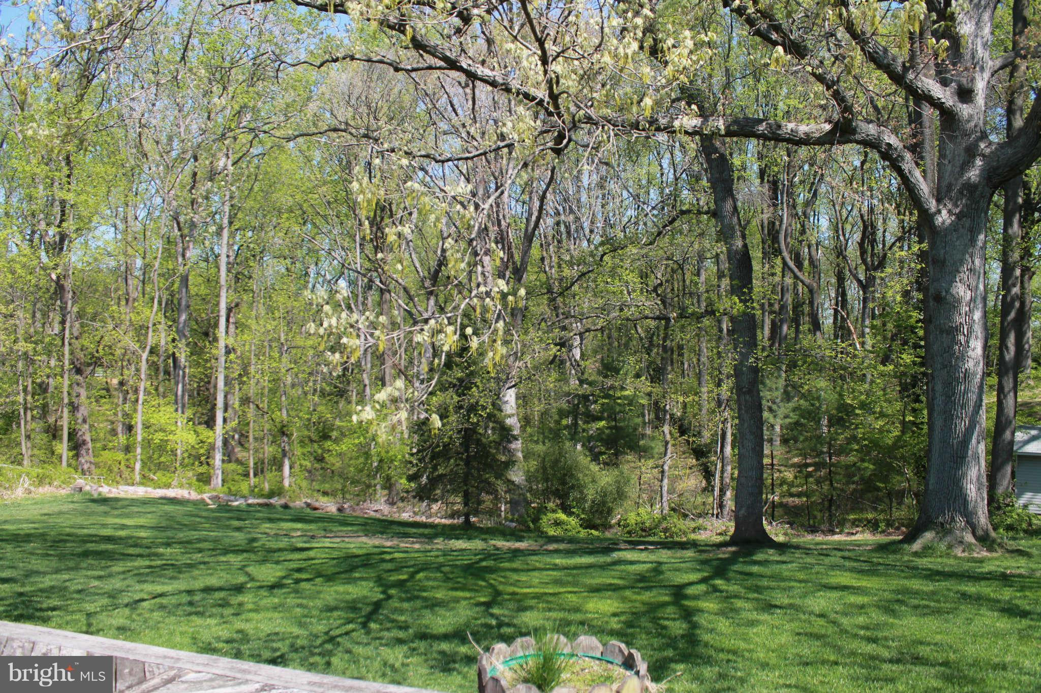 8495 Murphy Road Laurel, MD 20723 - Photo 6 of 18 View