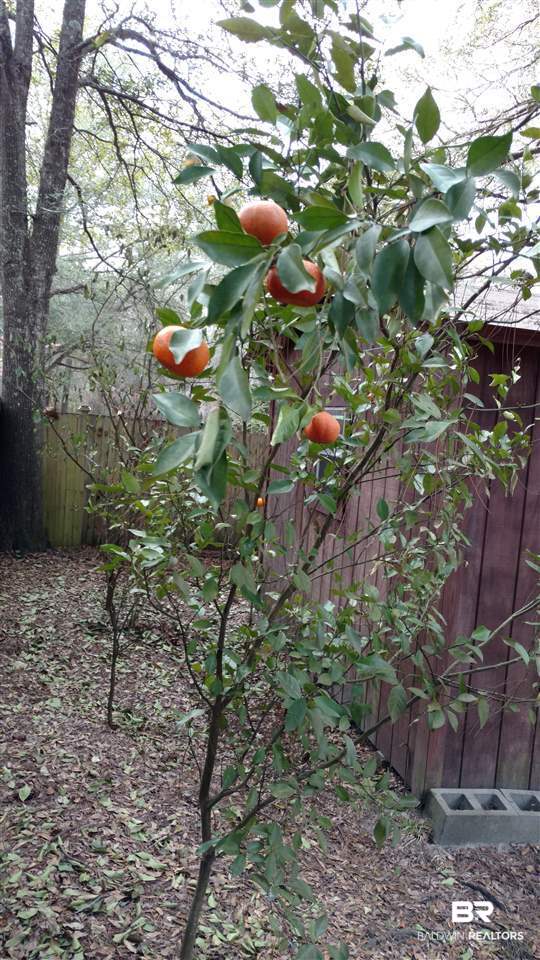 7958 Hilltop Street Mobile, AL 36619 - Photo 23 of 25
