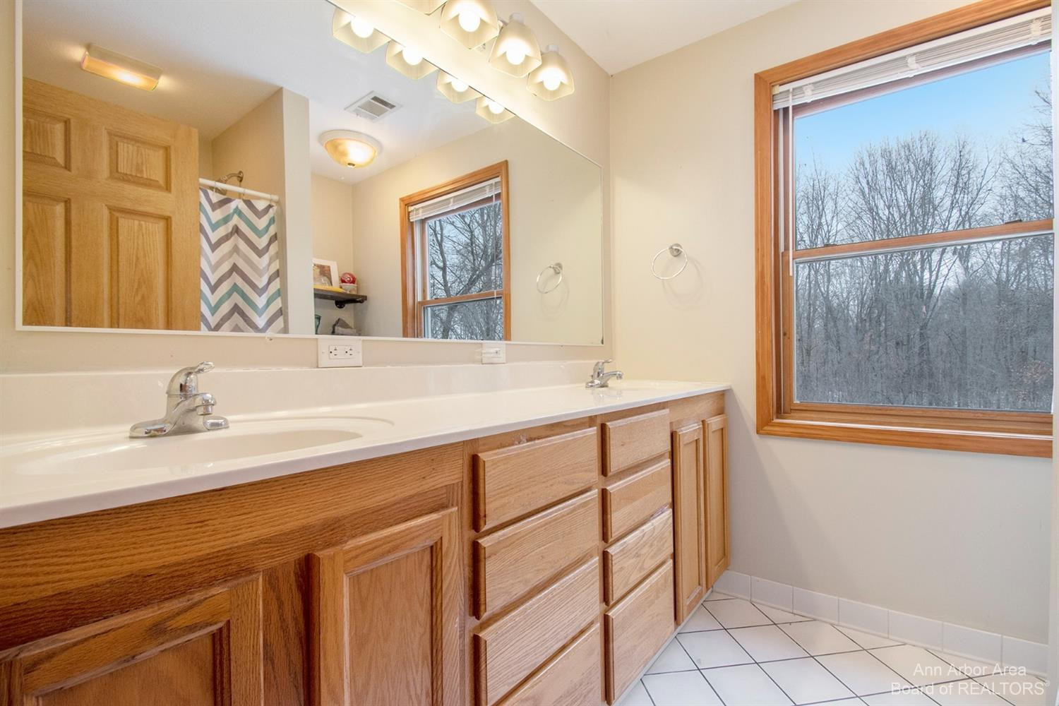 4210 Dexter-Pinckney Road Dexter, MI 48130 - Photo 35 of 44 Upper level full bathroom