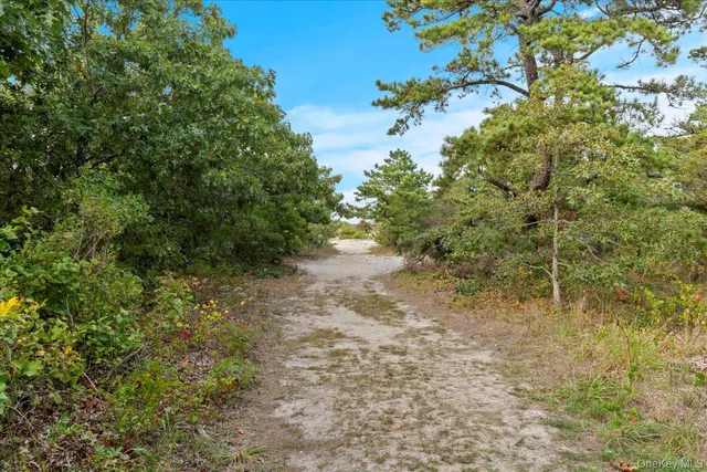 a view of beach and ocean