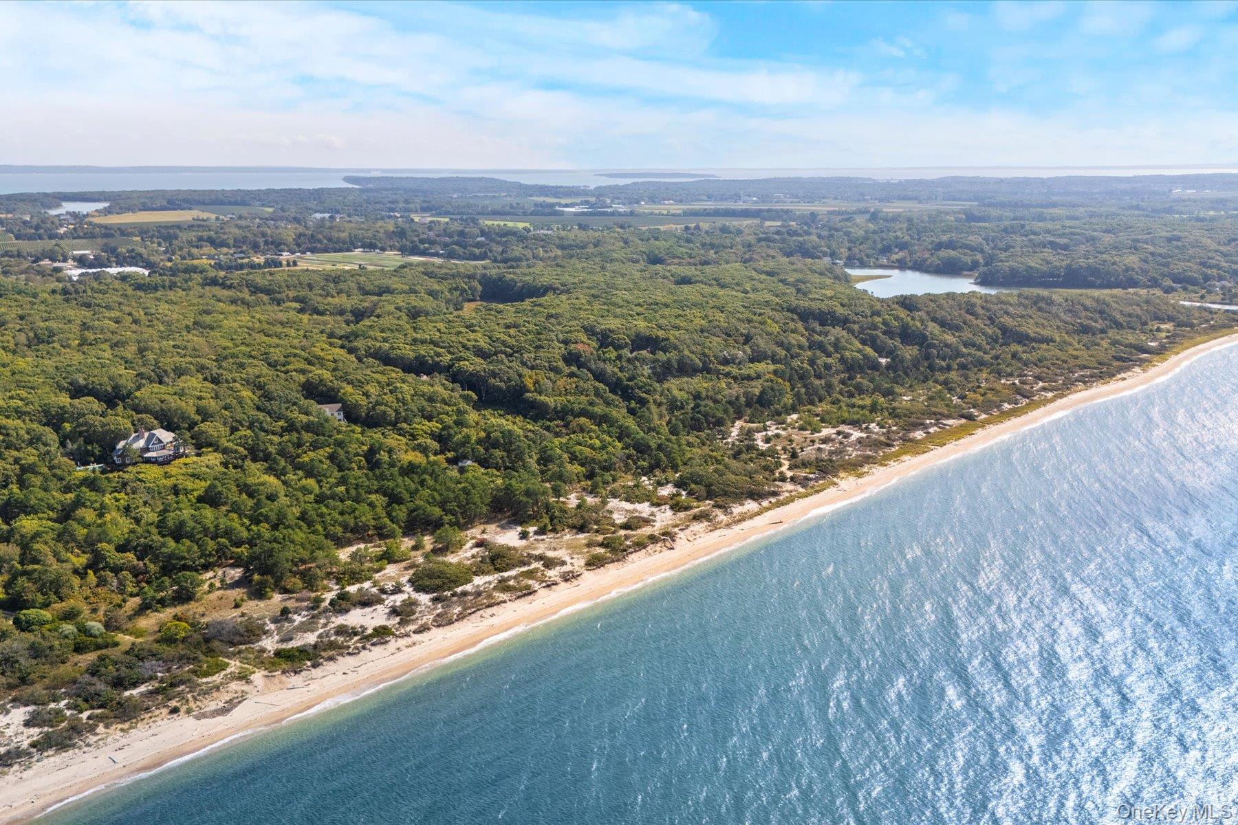 3630 Soundview Avenue Peconic, NY 11958 - Photo 41 of 44