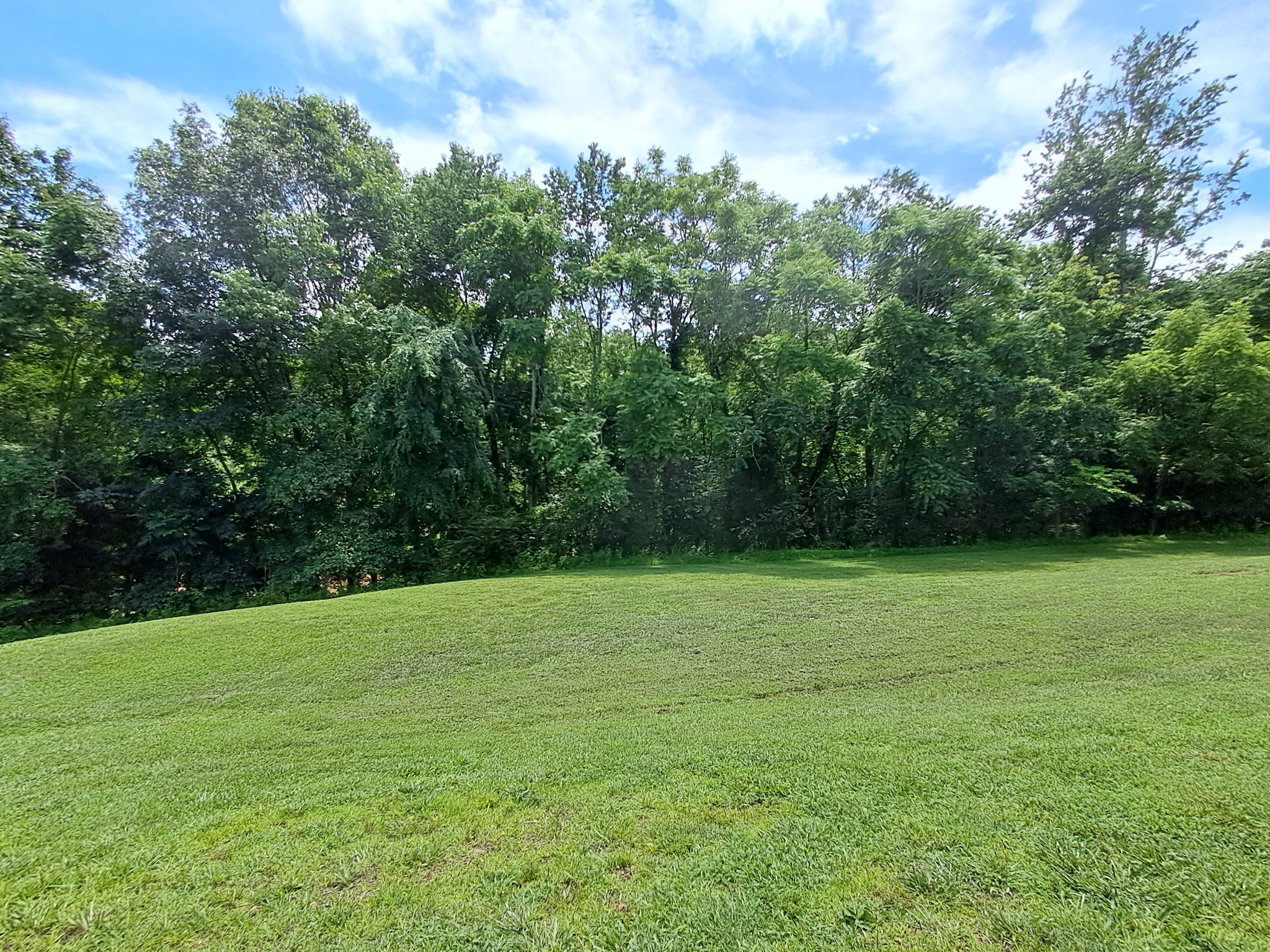 5525 Wiley Hollow Road Culleoka, TN 38451 - Photo 22 of 64 a view of a field with a trees in the background
