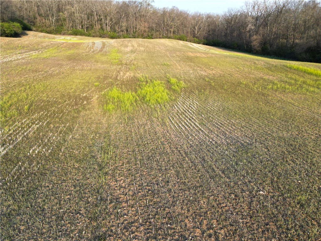 3 Middle Urbana Road Medway, OH 45341 - Photo 2 of 8 Expansive green fields offer endless possibilities for cultivation.