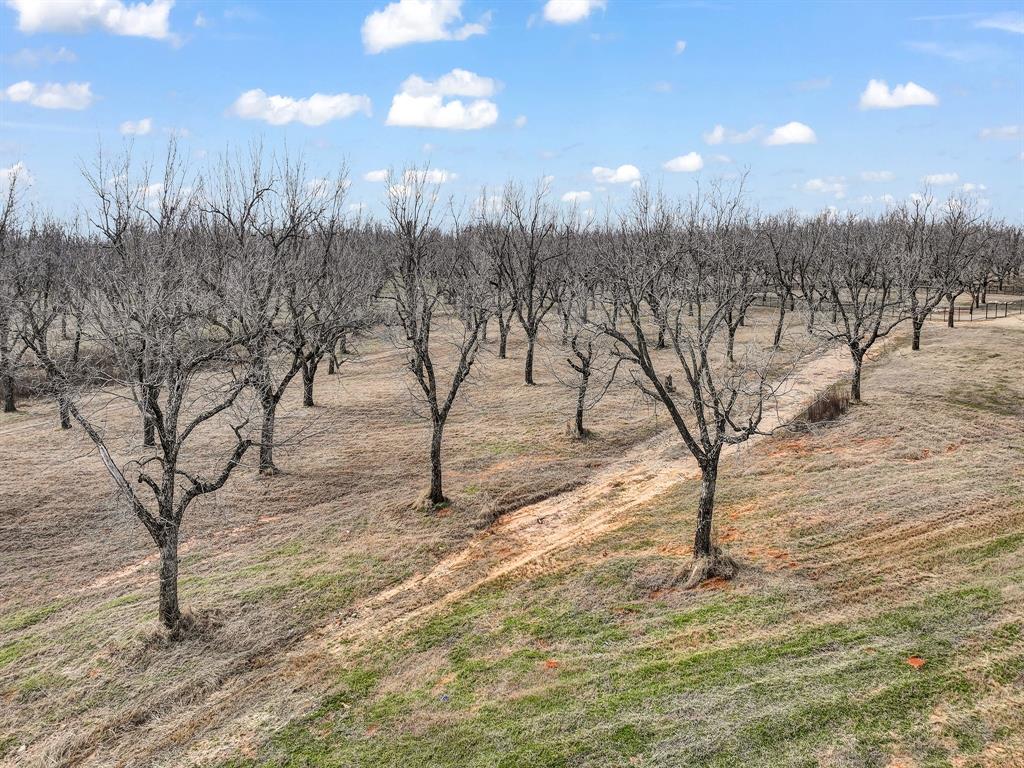 8419 West Landings Road Granbury, TX 76049 - Photo 1 of 39 a view of a covered with snow in the background