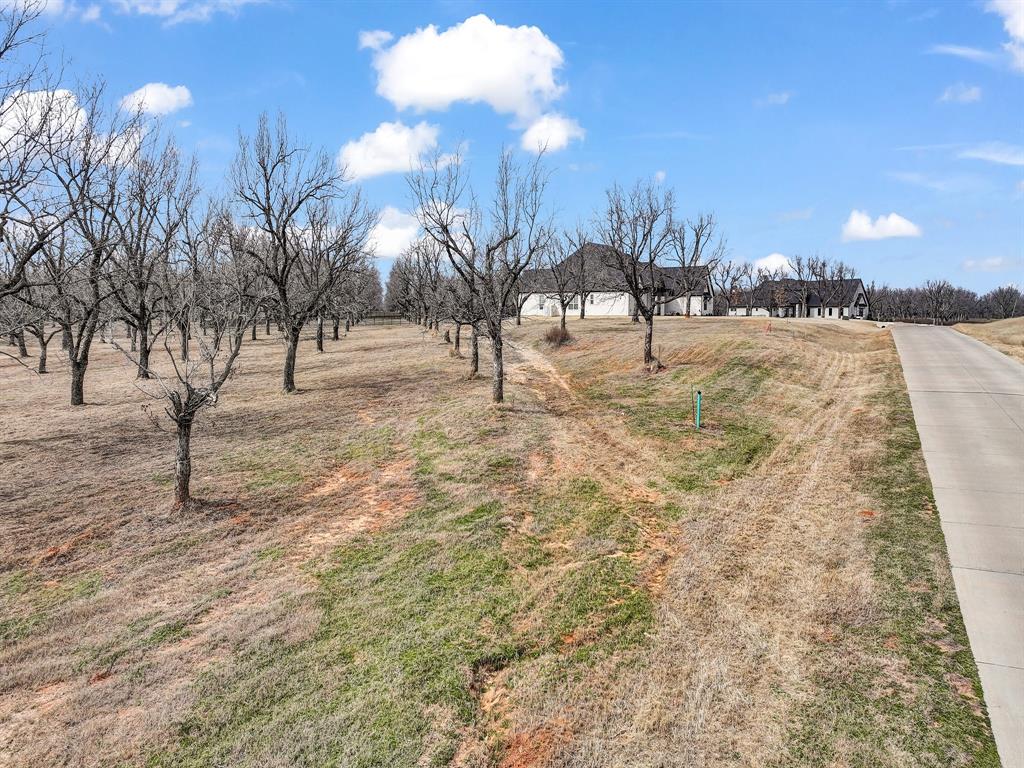 8419 West Landings Road Granbury, TX 76049 - Photo 16 of 39 a view of outdoor space with trees