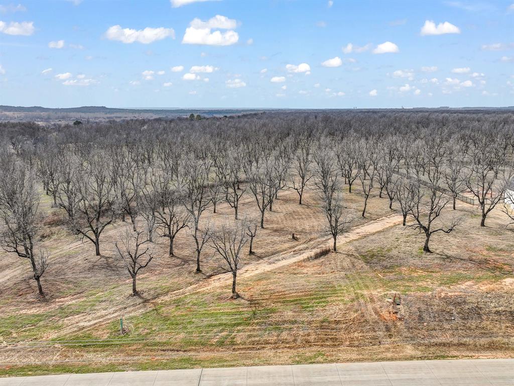 8419 West Landings Road Granbury, TX 76049 - Photo 17 of 39 a view of wooden floor and a yard