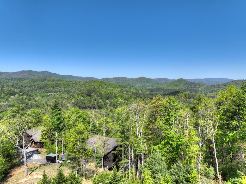 459 Quail Ridge Road Epworth, GA 30541 - Photo 26 of 73 a view of a lush green forest with mountains in the background
