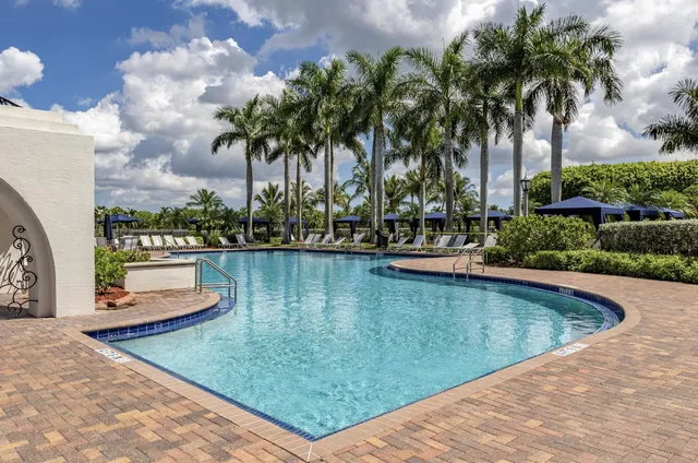 a view of a swimming pool with a lawn chairs under palm trees