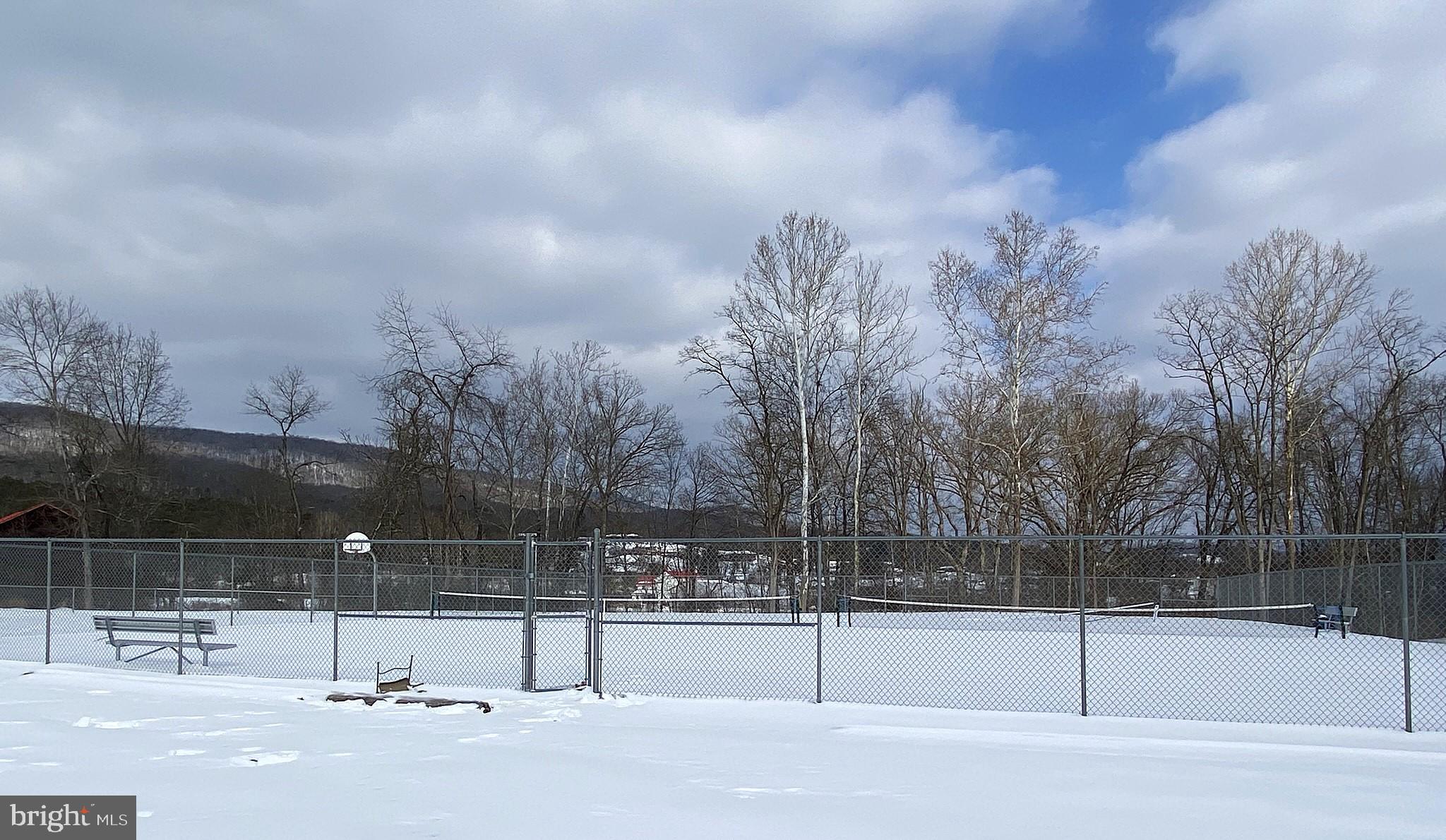 14103 Temple Street Ellerslie, MD 21529 - Photo 55 of 57 a view of a tennis court