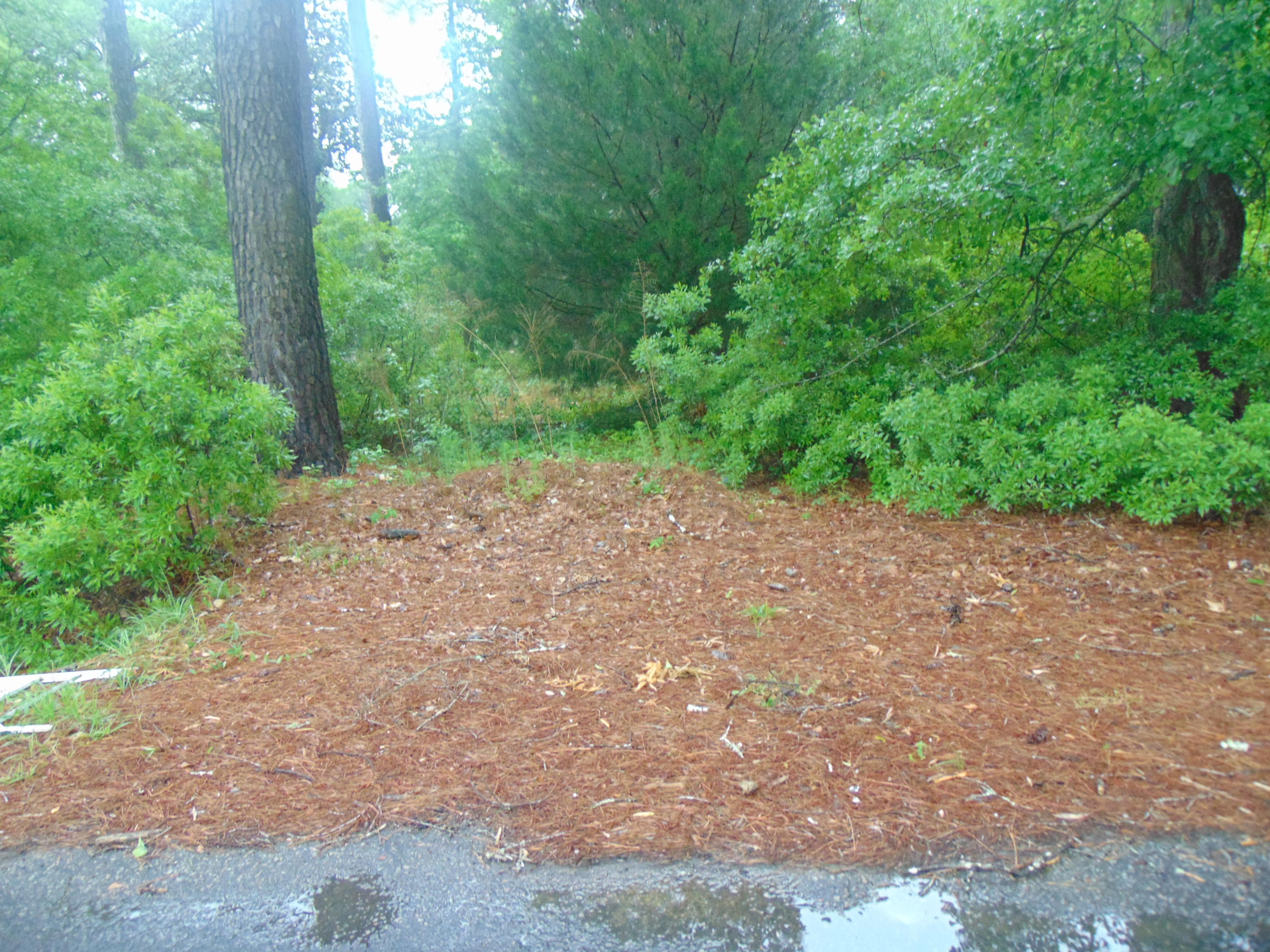 1250 Red Oak Road Cottageville, SC 29435 - Photo 1 of 5 DSC00397