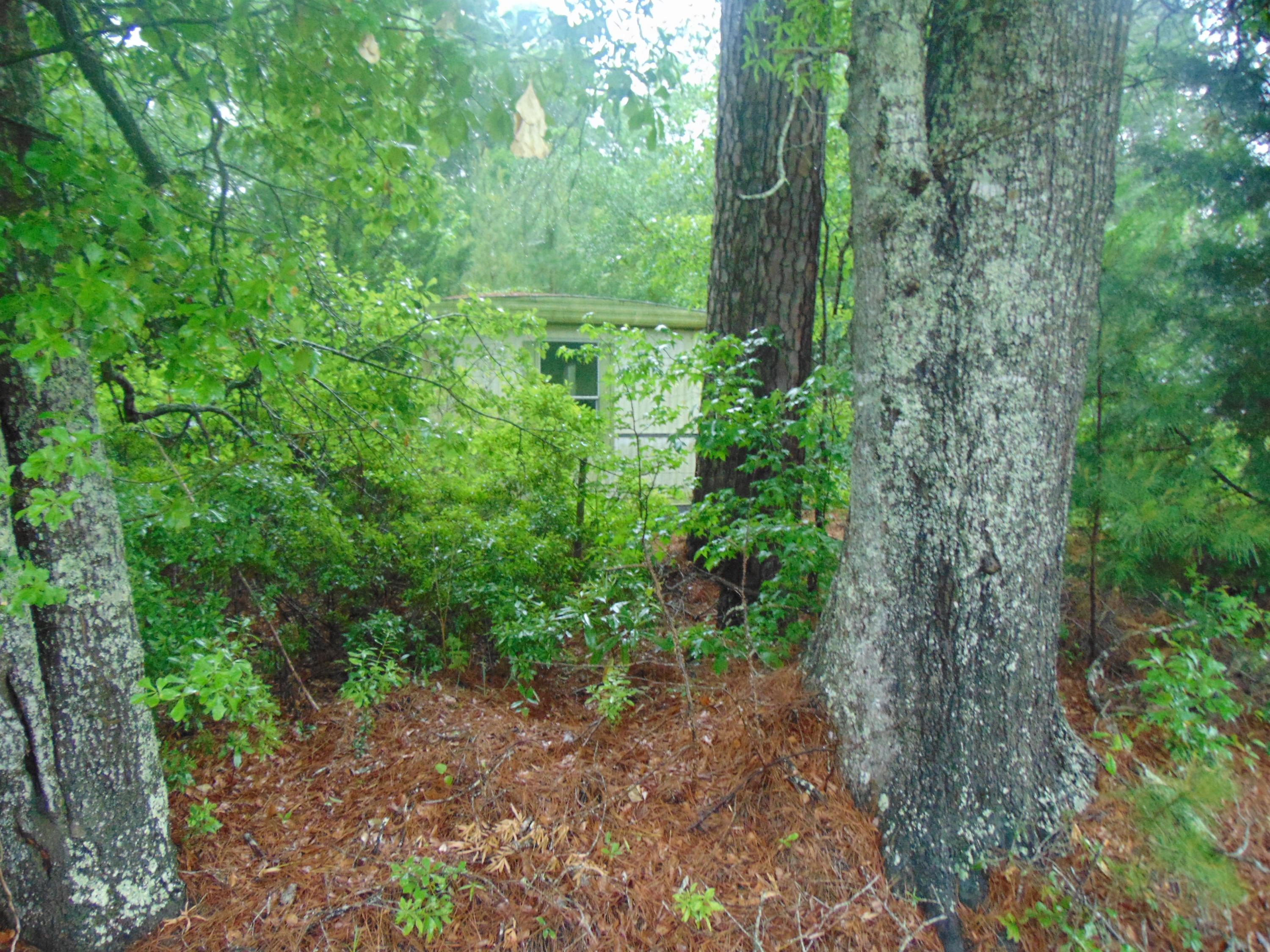 1250 Red Oak Road Cottageville, SC 29435 - Photo 2 of 5 DSC00398
