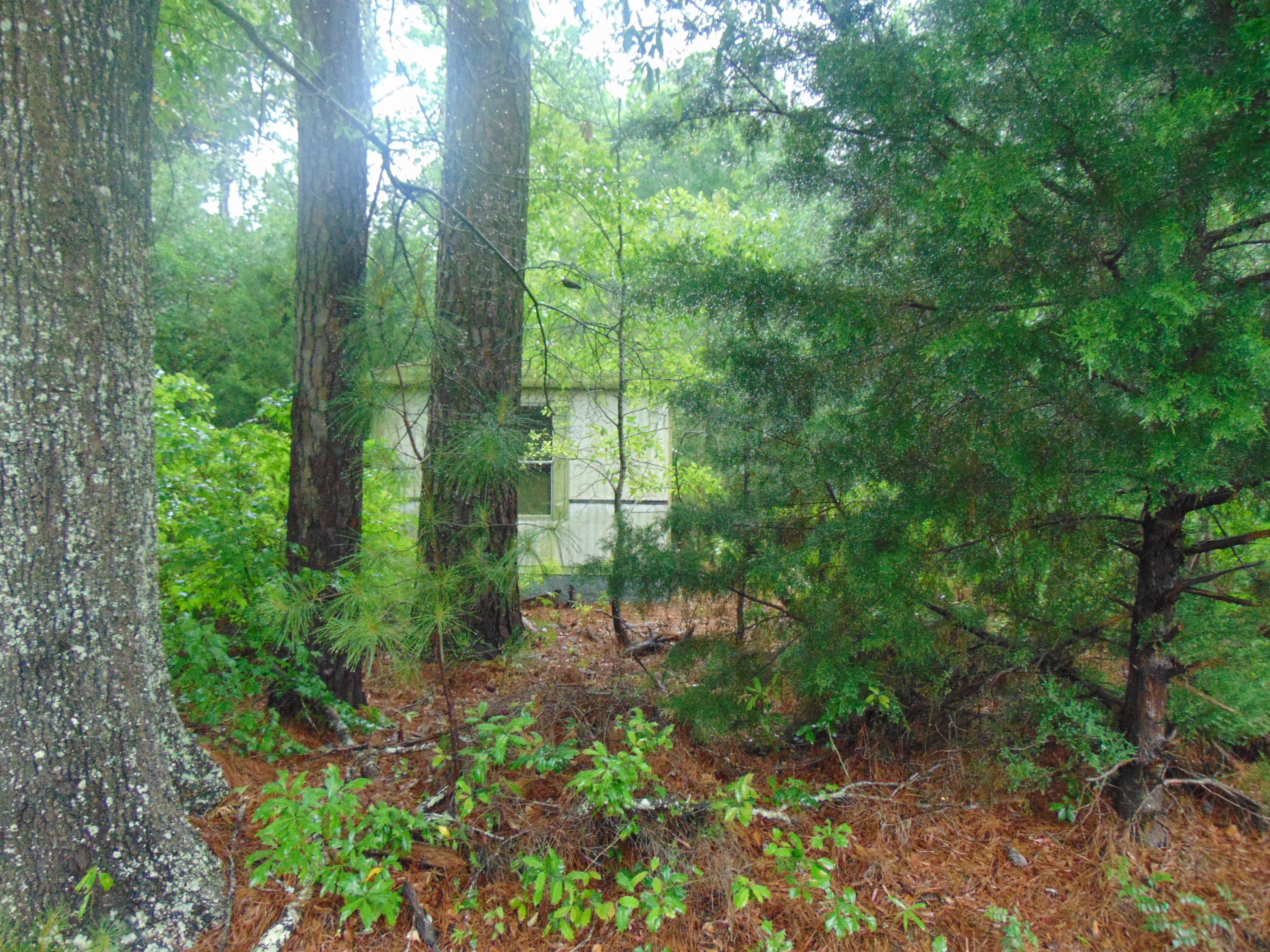 1250 Red Oak Road Cottageville, SC 29435 - Photo 3 of 5 DSC00399