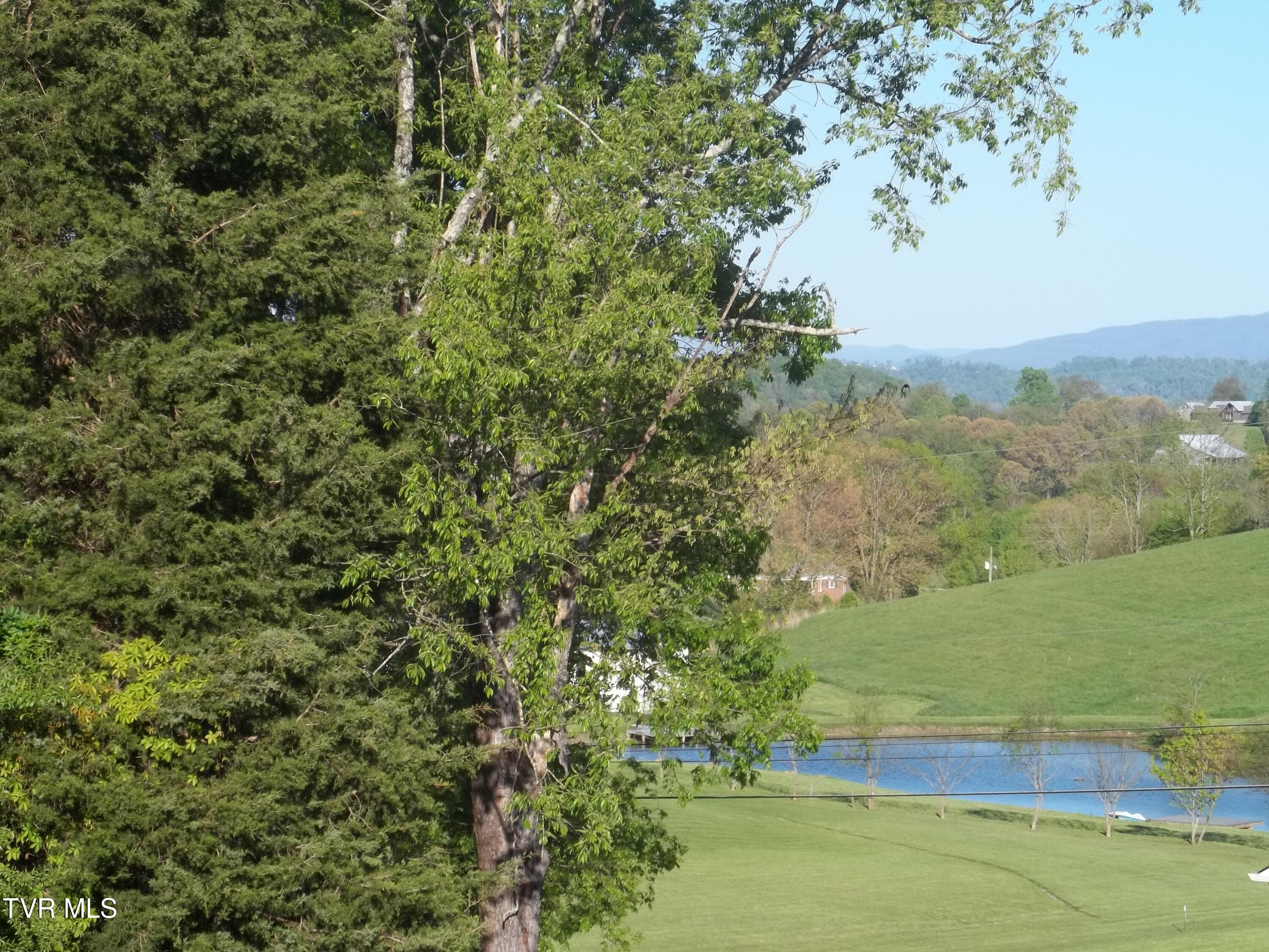 113 Baskett Road Limestone, TN 37681 - Photo 11 of 42 100_0994