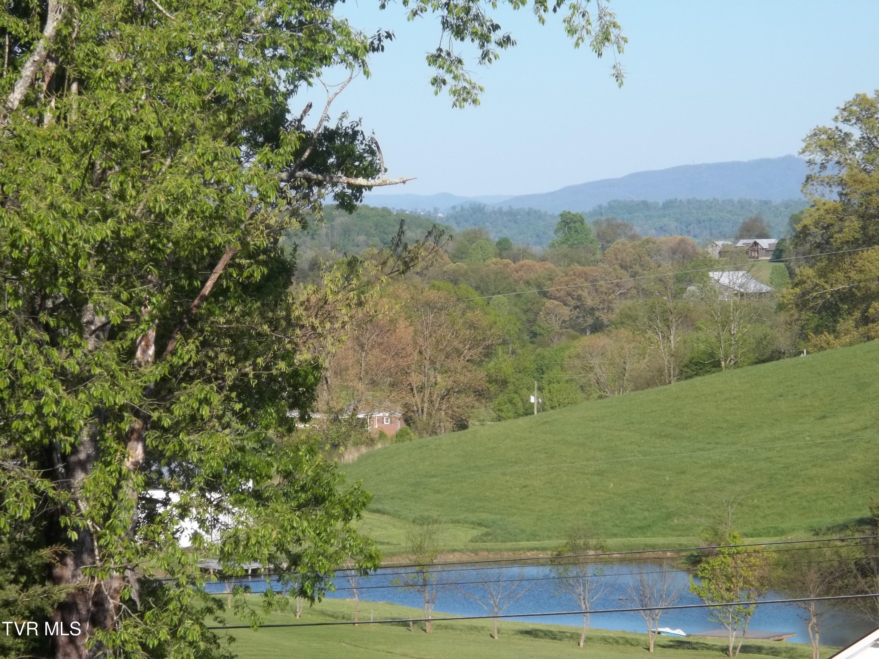 113 Baskett Road Limestone, TN 37681 - Photo 12 of 42 100_0995