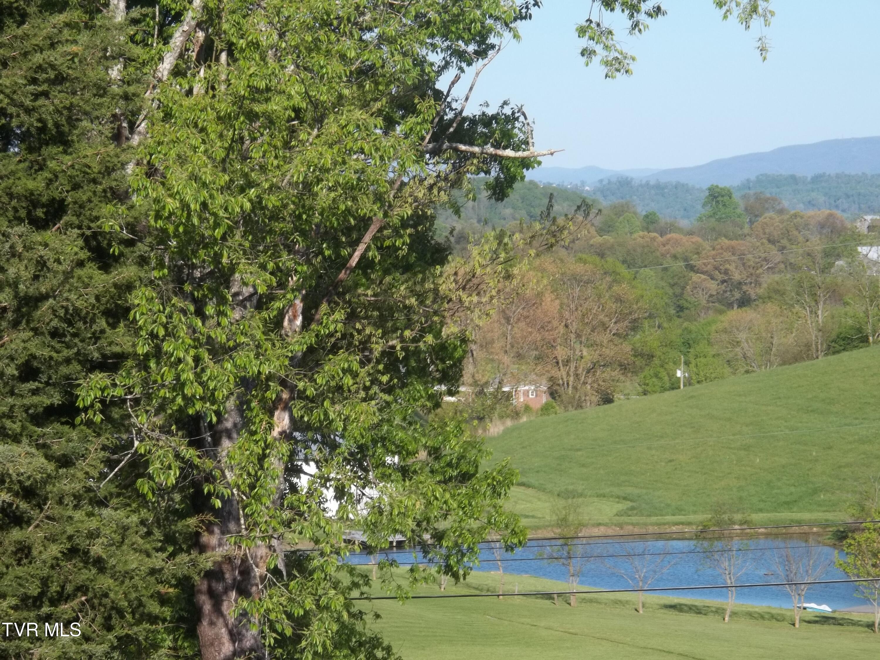 113 Baskett Road Limestone, TN 37681 - Photo 14 of 42 100_0998