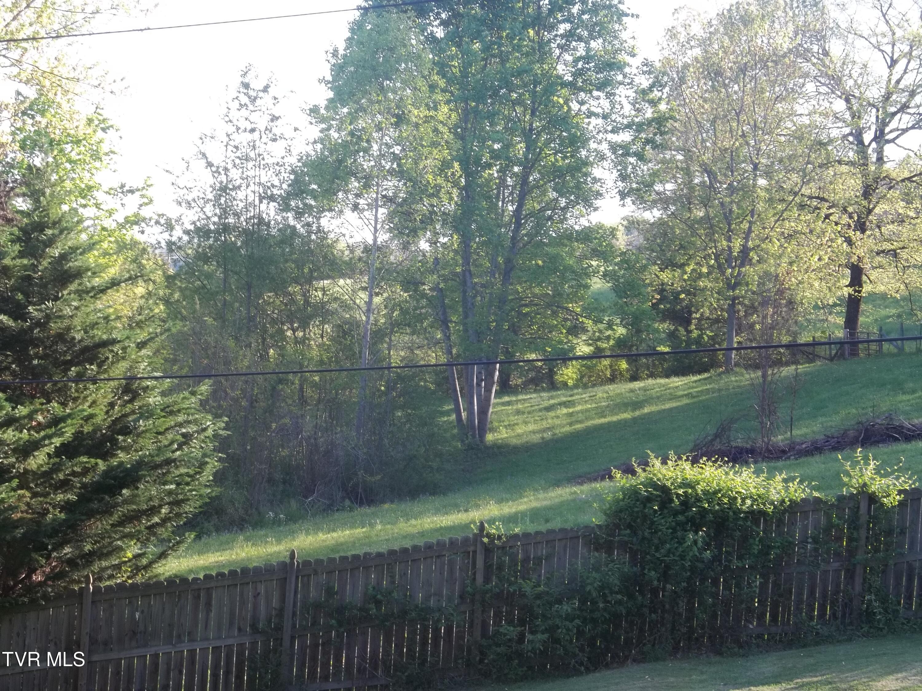 113 Baskett Road Limestone, TN 37681 - Photo 16 of 42 100_1000