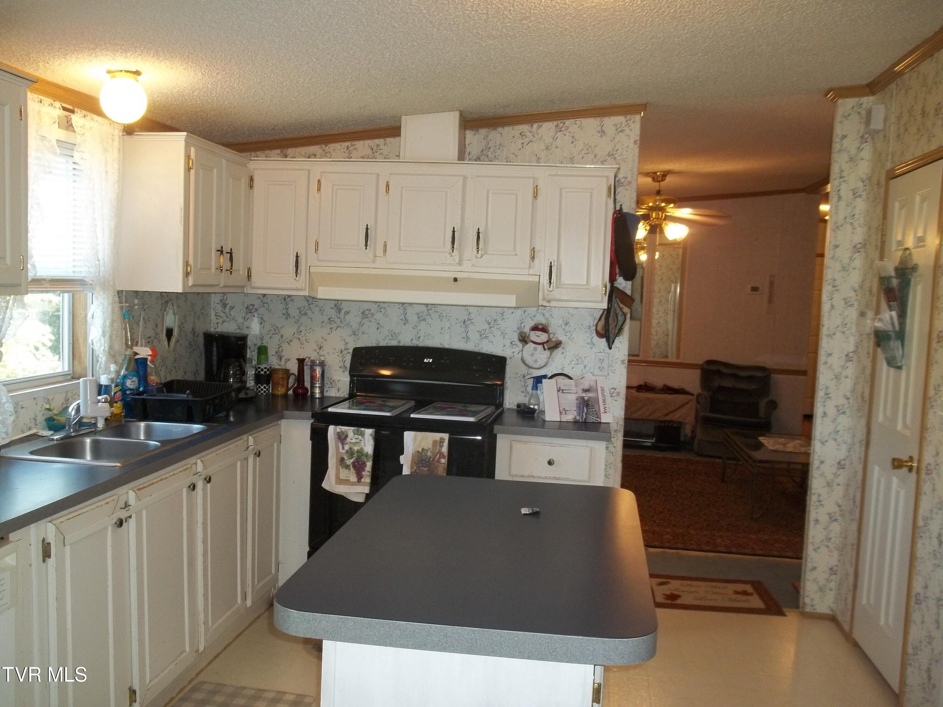 113 Baskett Road Limestone, TN 37681 - Photo 23 of 42 100_1008