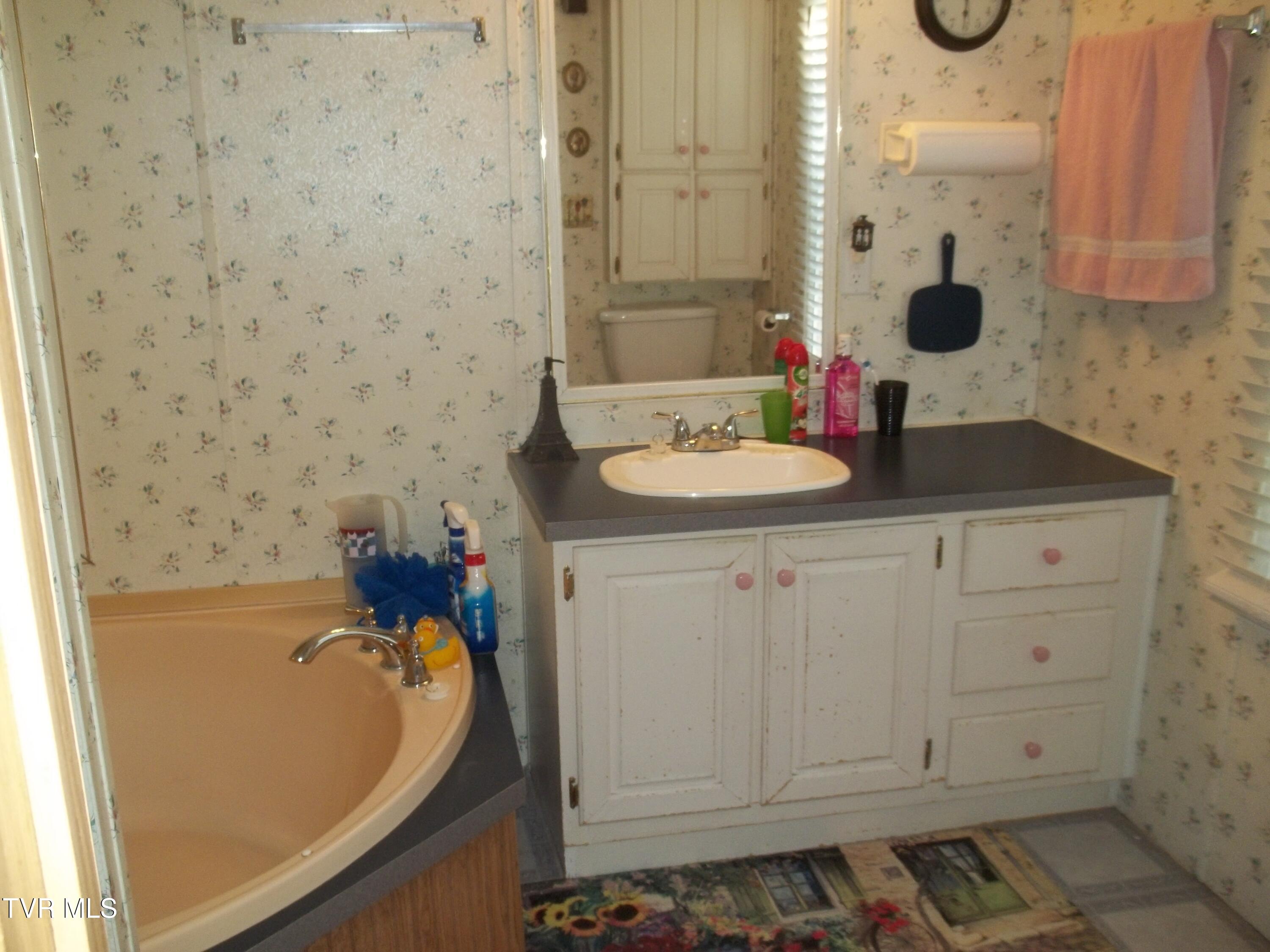 113 Baskett Road Limestone, TN 37681 - Photo 33 of 42 100_0973