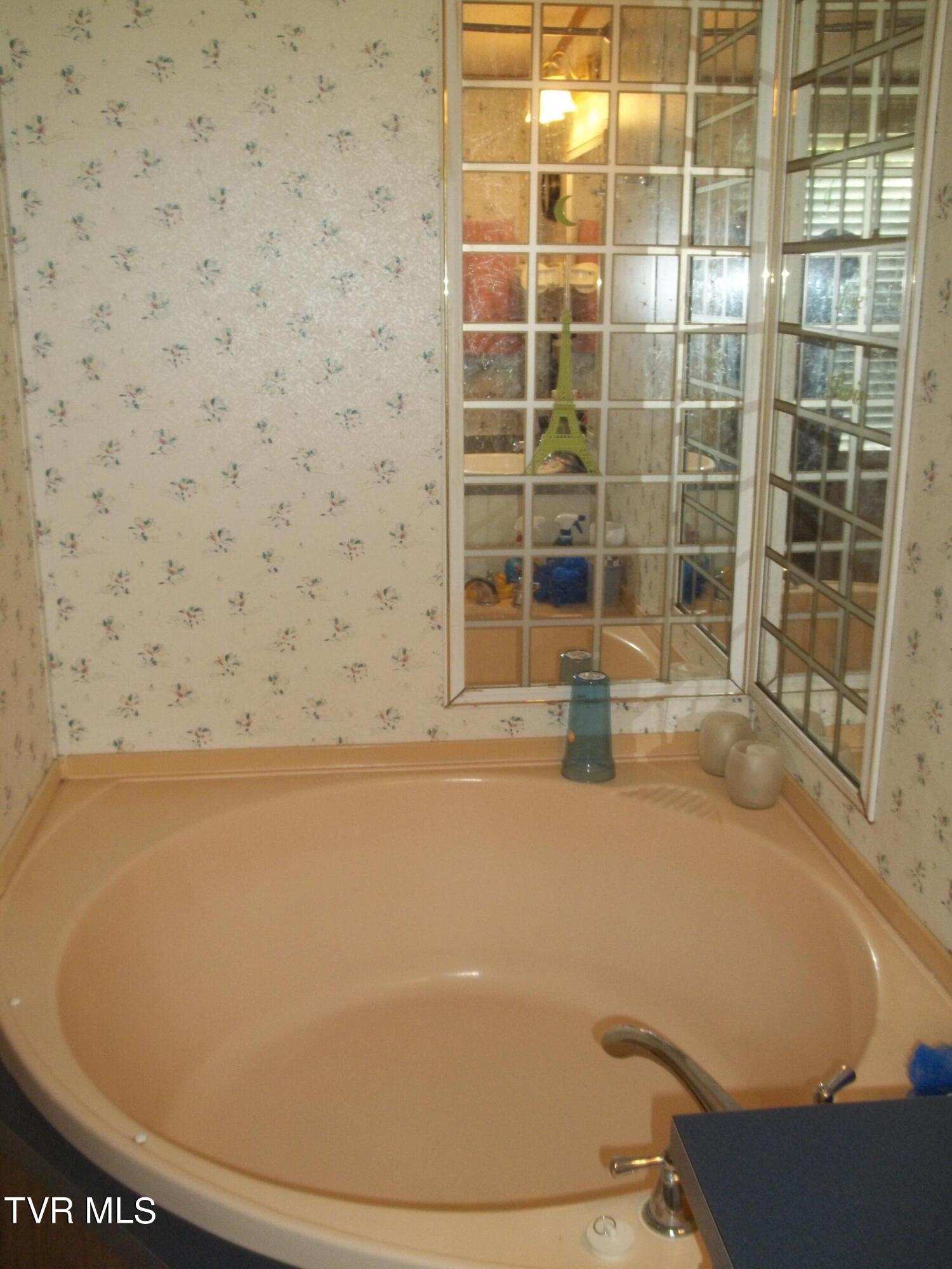 113 Baskett Road Limestone, TN 37681 - Photo 35 of 42 100_0975