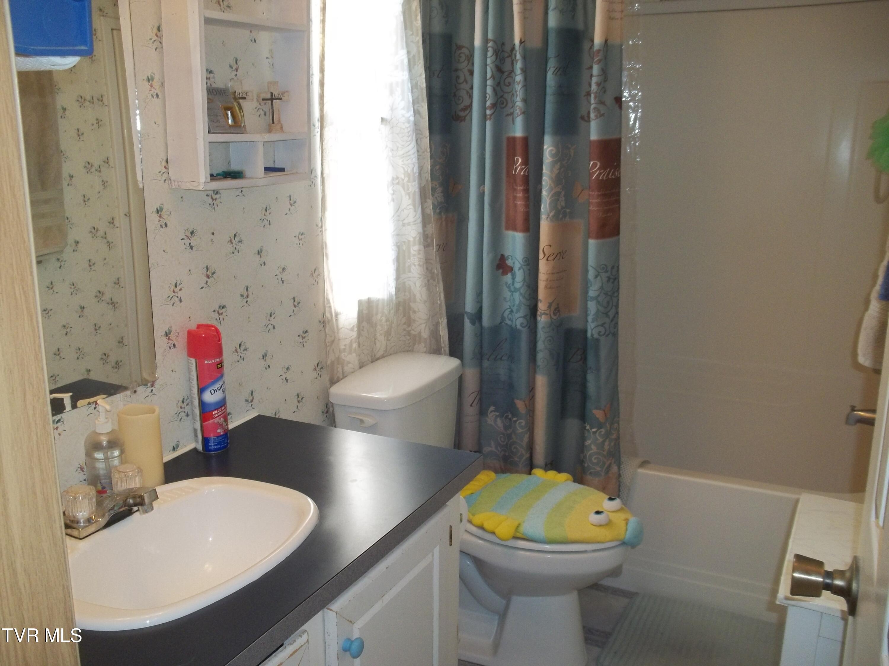 113 Baskett Road Limestone, TN 37681 - Photo 41 of 42 100_0982