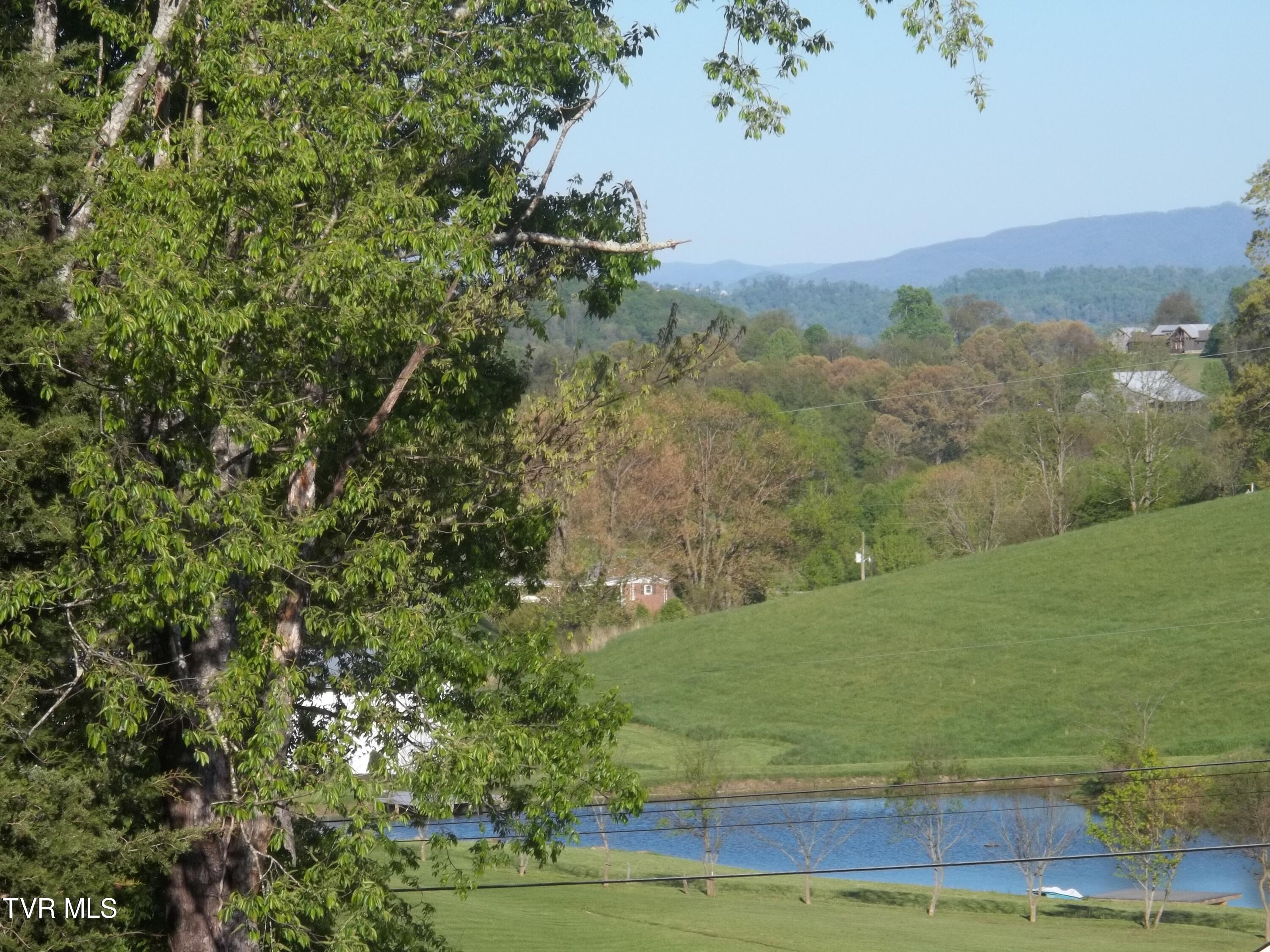 113 Baskett Road Limestone, TN 37681 - Photo 10 of 42 100_0996