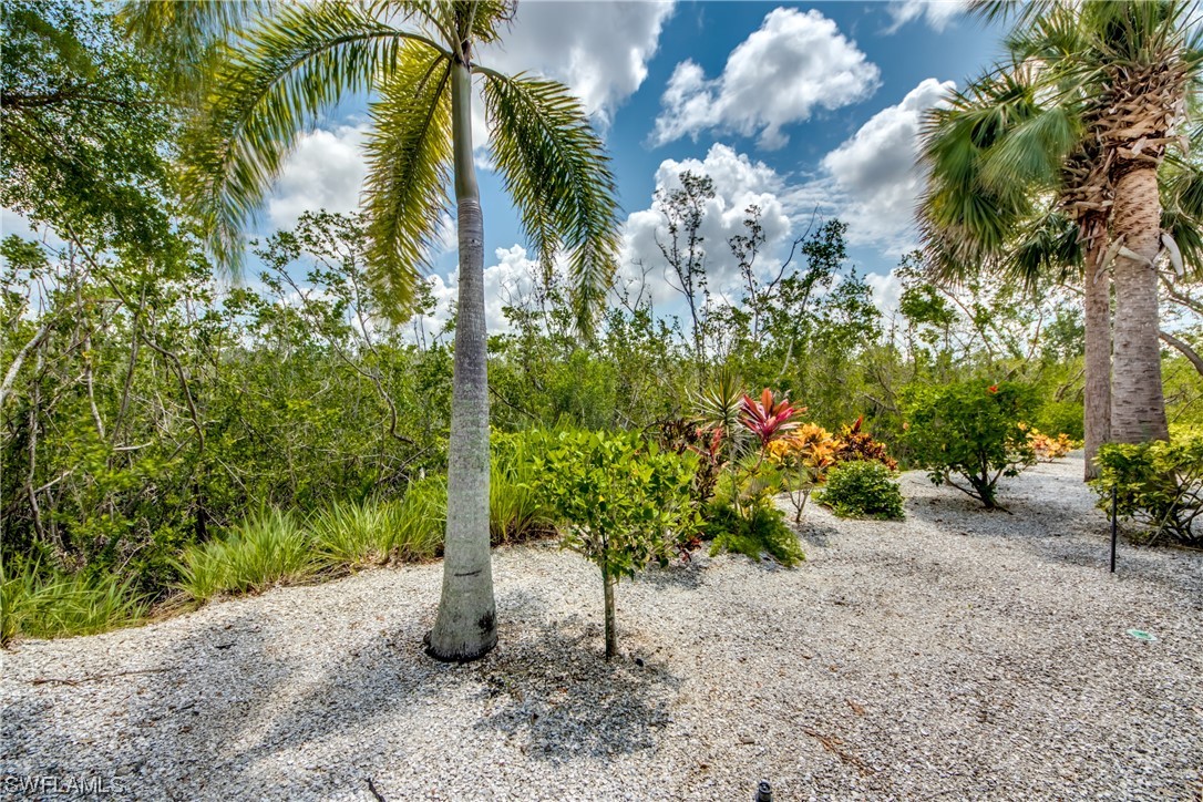 10420 Peso Del Rio Drive Fort Myers, FL 33908 - Photo 38 of 50 a view of a garden with plants