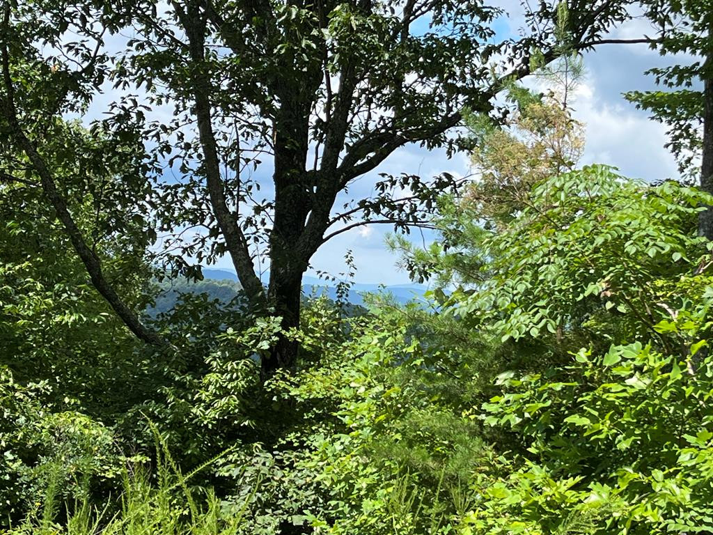 0 Ocoee Rdg Road Murphy, NC 28906 - Photo 1 of 7 Main View