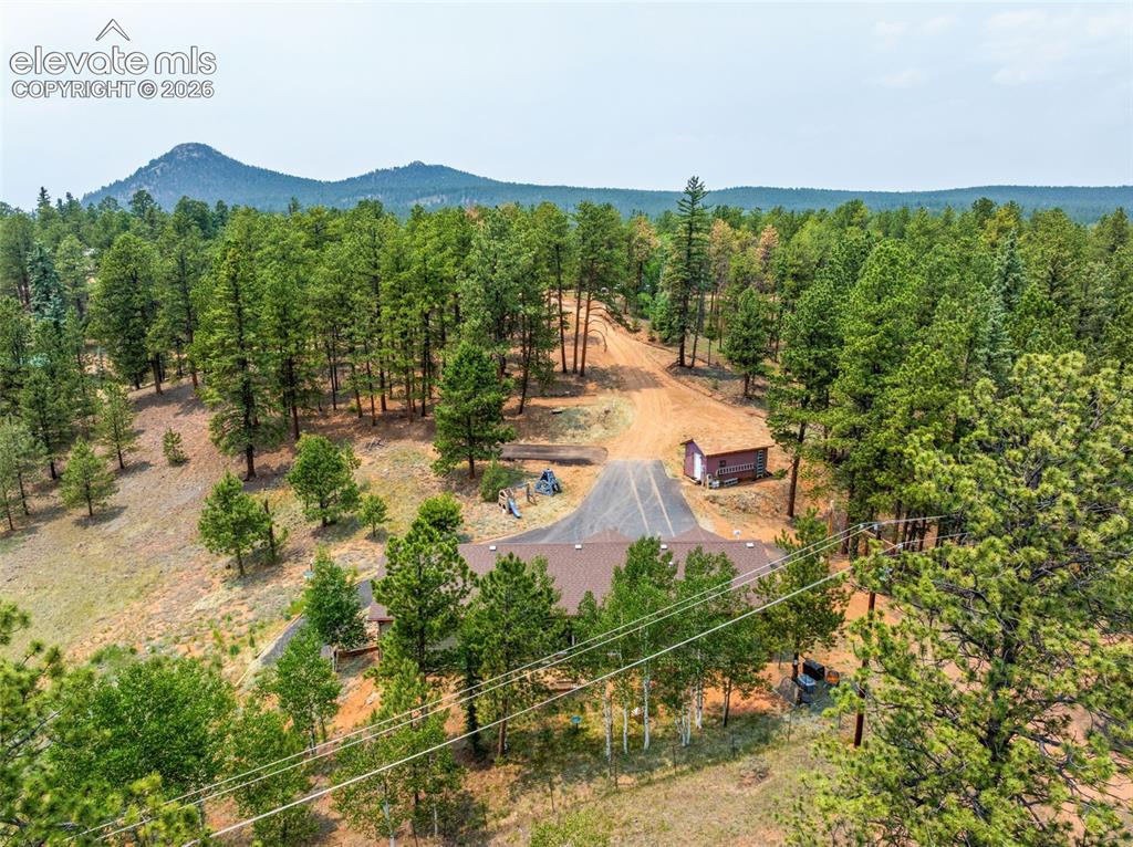 156 Fossil Creek Road Florissant, CO 80816 - Photo 42 of 47