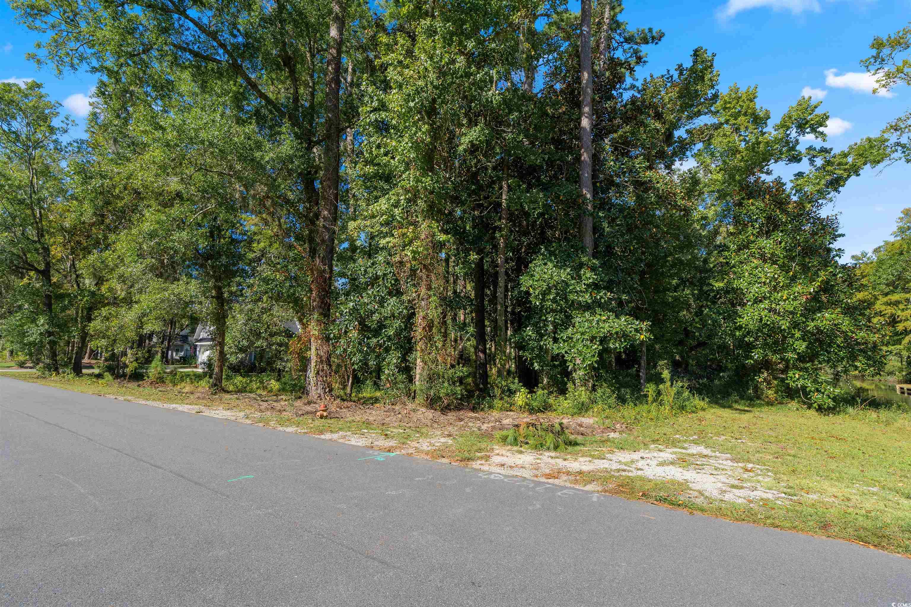 Lot 6 Tuckers Road Pawleys Island, SC 29585 - Photo 4 of 24 View of street