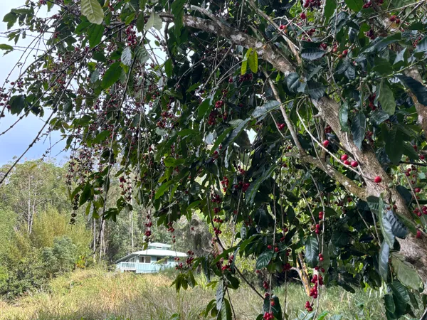 $749,000 | 43-1966 Paauilo Mauka Road, Paauilo, HI 96776