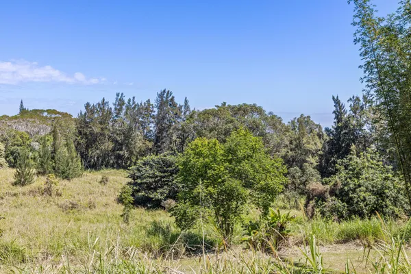 $749,000 | 43-1966 Paauilo Mauka Road, Paauilo, HI 96776