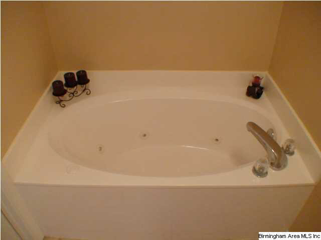 124 Star View Circle Alabaster, AL 35007 - Photo 18 of 24 Gallery Image 18