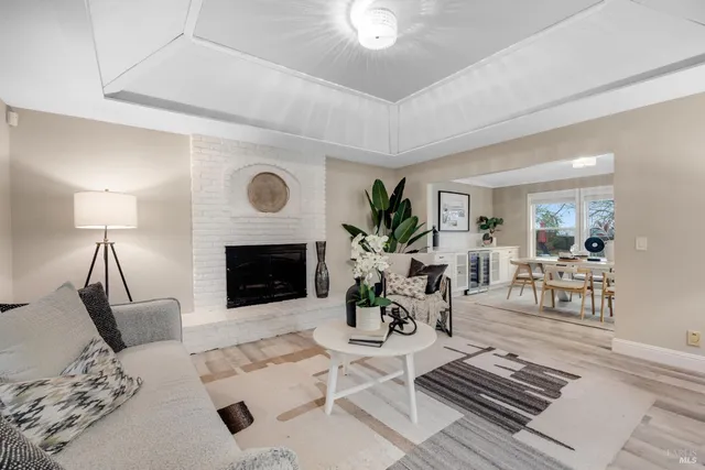 a living room with furniture potted plant and a lamp