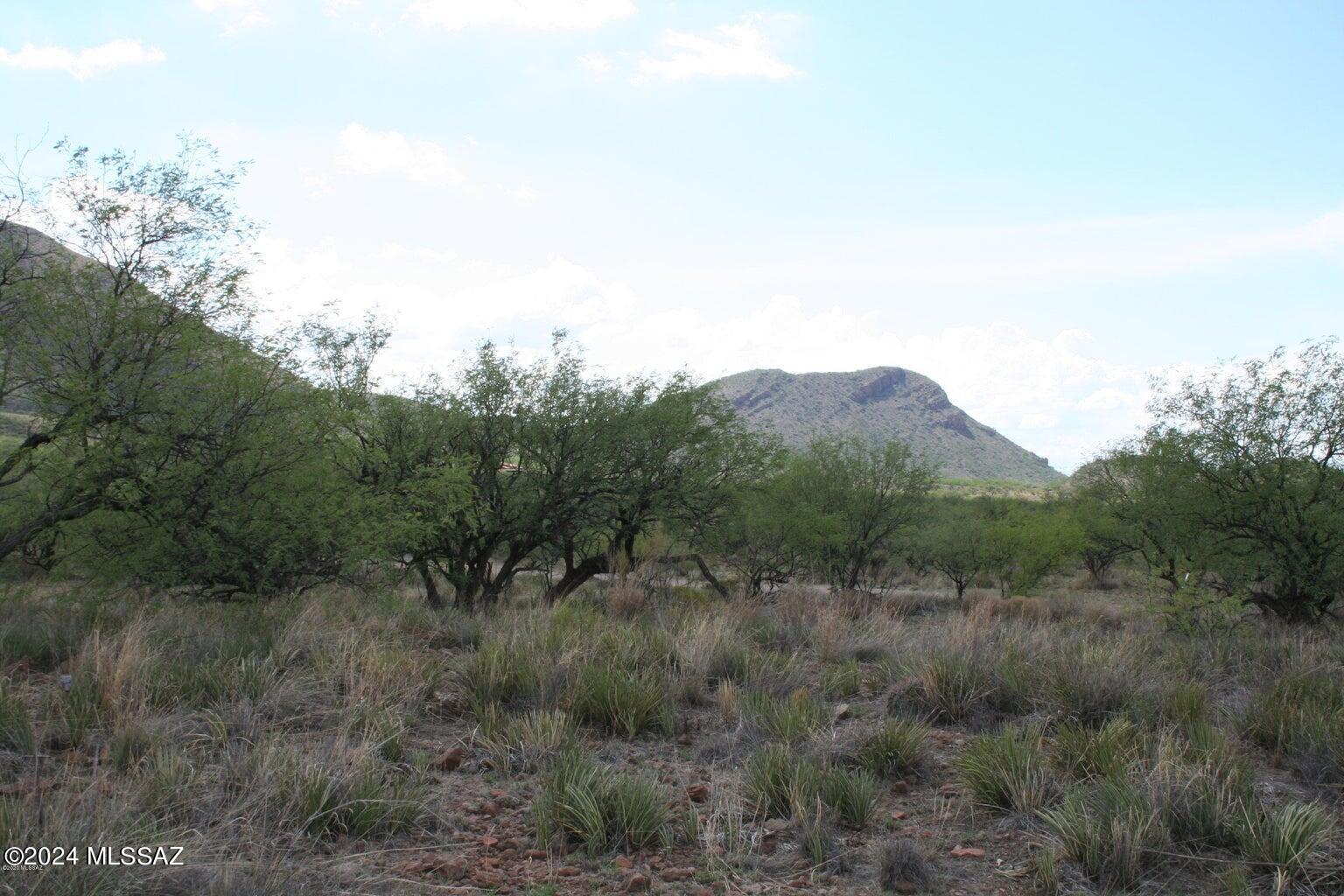 80 Morning Star Drive Rio Rico, AZ 85648 - Photo 16 of 30