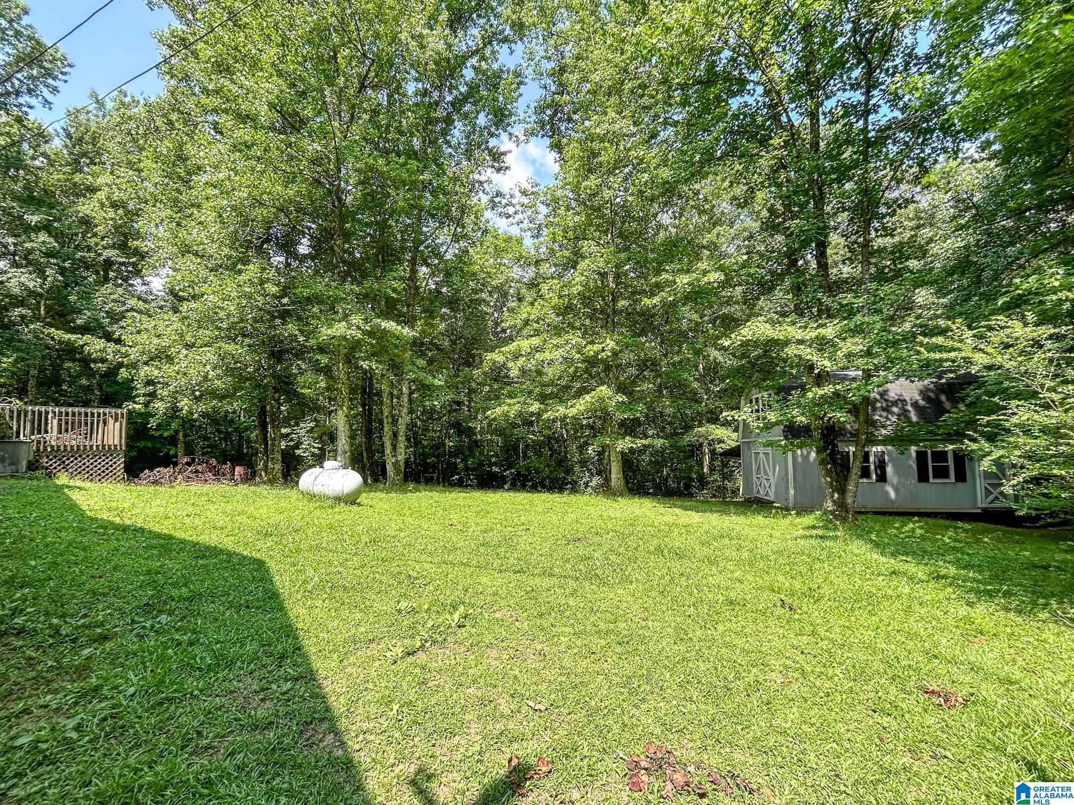 281 Stephenson Road Jasper, AL 35503 - Photo 2 of 27
