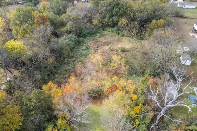 a view of a yard with trees