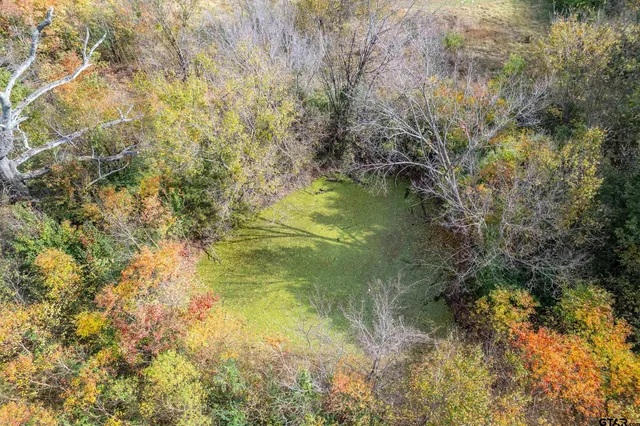 a view of yard with green space
