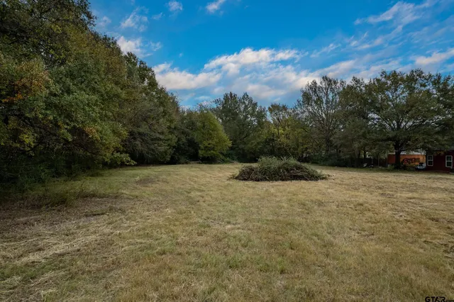 a view of outdoor space and yard