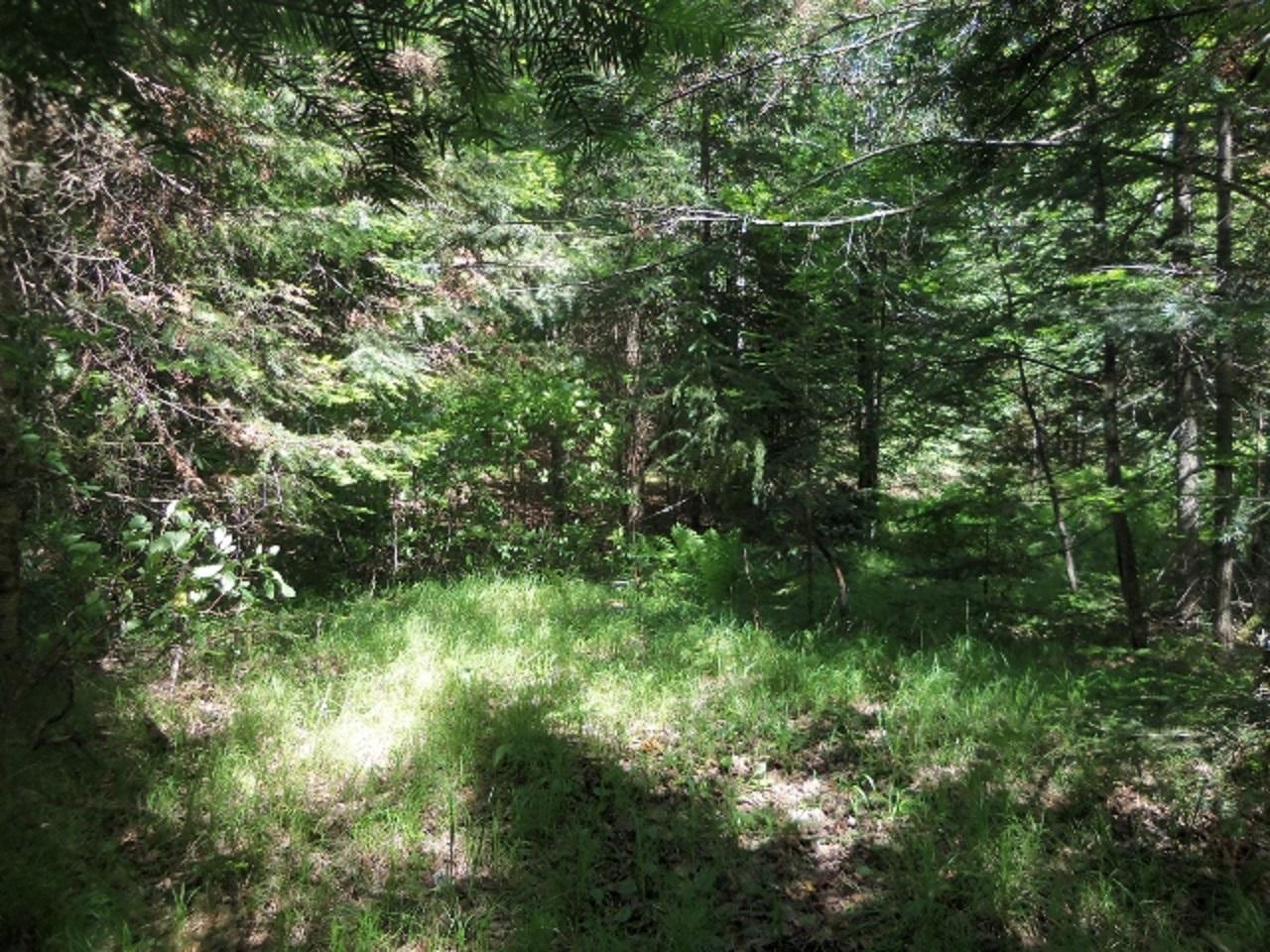 Lot 1 Weber Road Mercer, WI 54547 - Photo 20 of 22 Gallery Image 20
