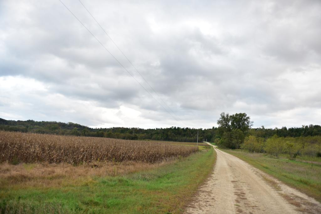 Xxx Sand Road Welch, MN 55089 - Photo 1 of 1 Gallery Image 1