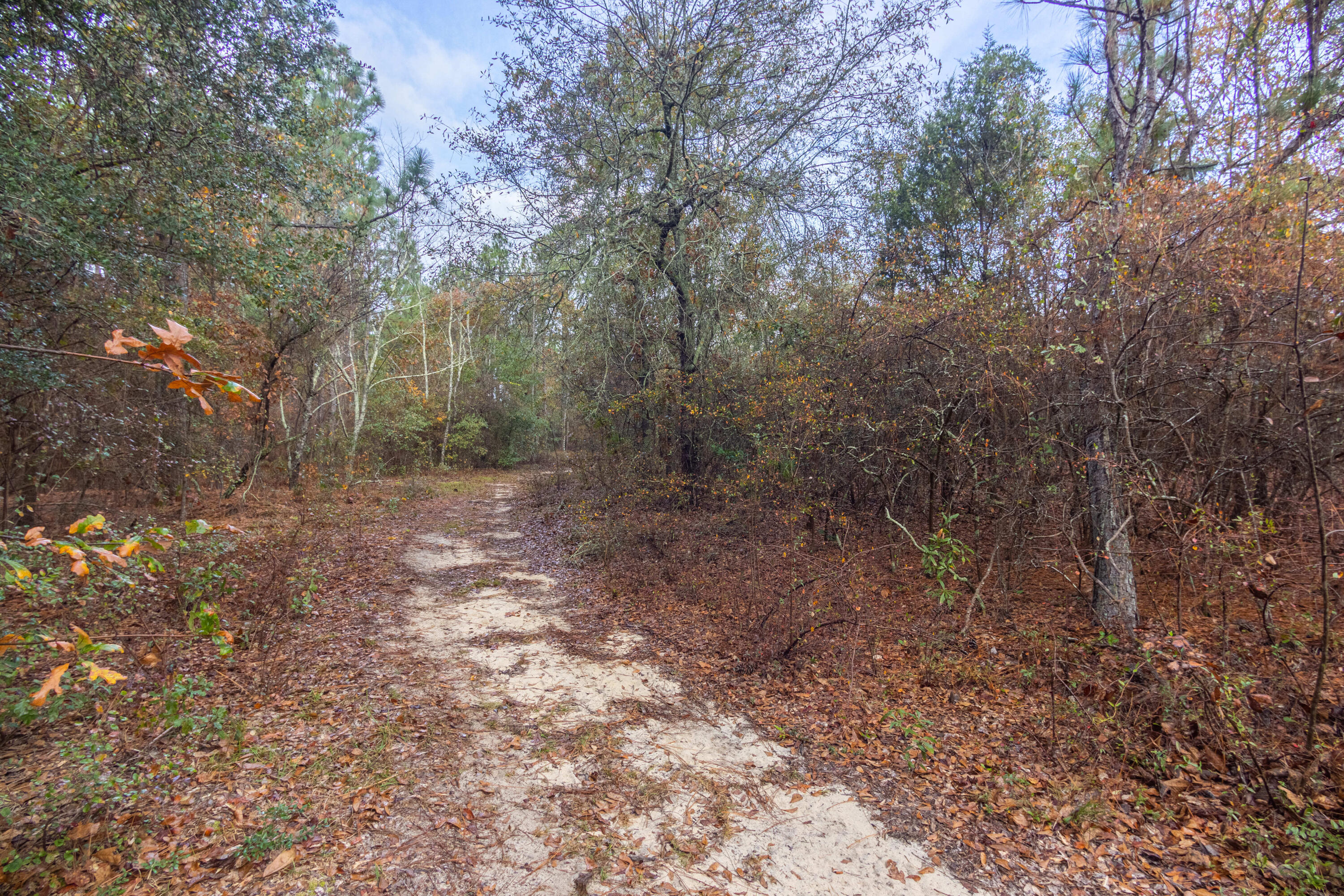 0 Ridgecrest Road Graniteville, SC 29829 - Photo 2 of 9