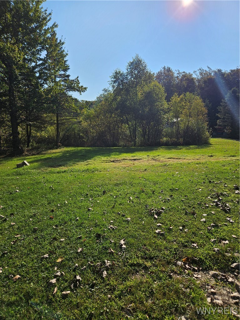 10130 Phillips Road Holland, NY 14080 - Photo 1 of 1 Gallery Image 1